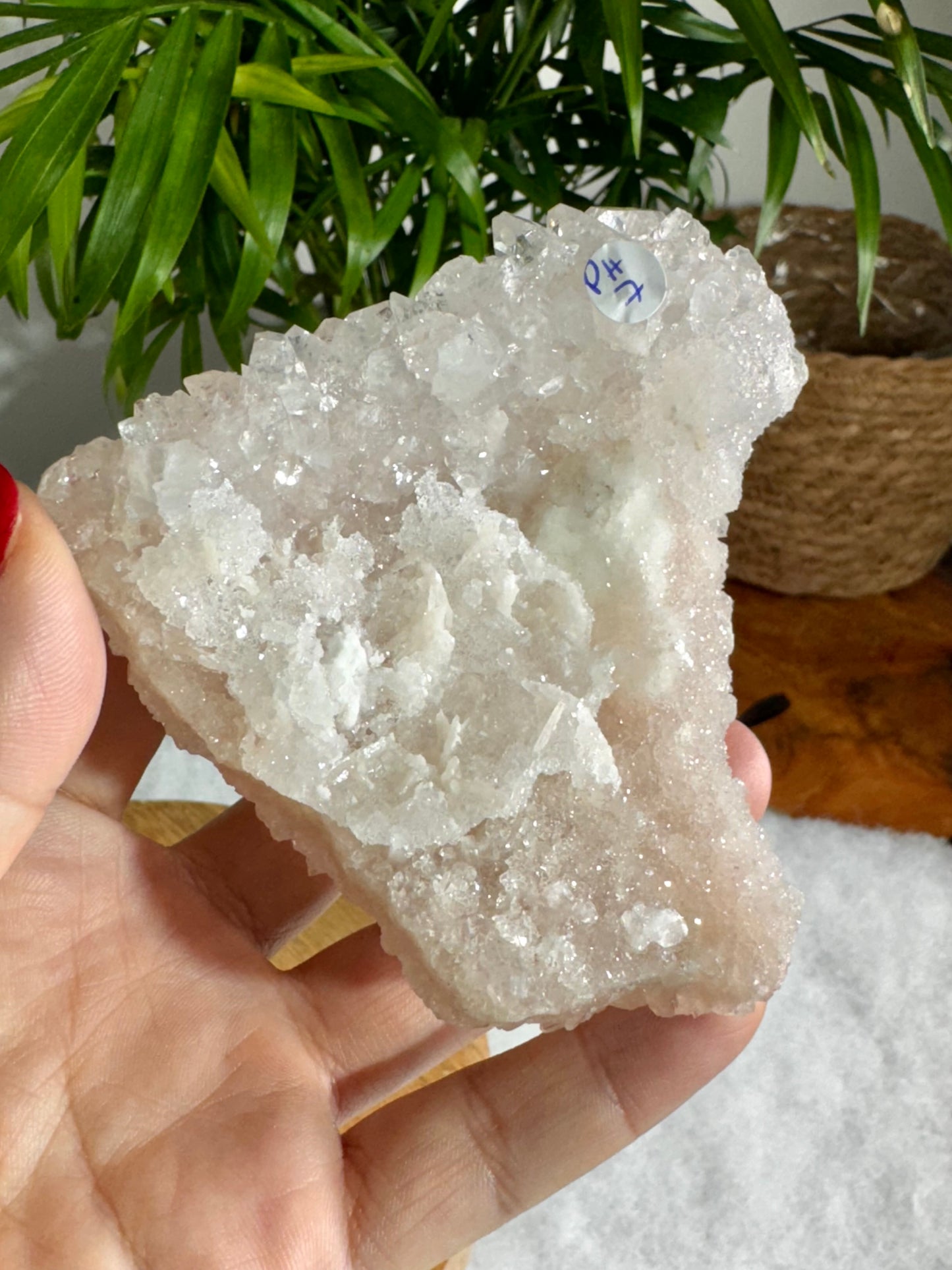 Pink Apophyllite Cluster | 133g