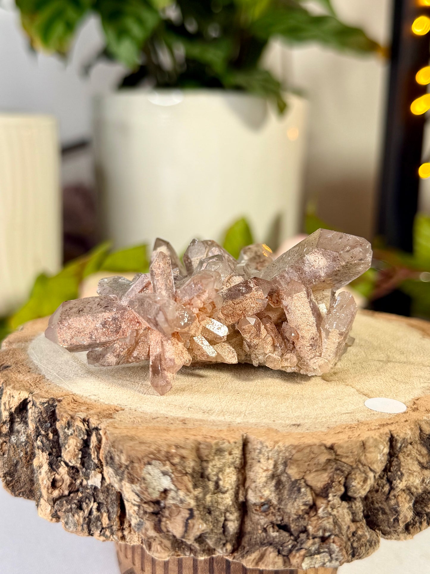 Mini 'Pink Lithium' Cluster 1  | 83g