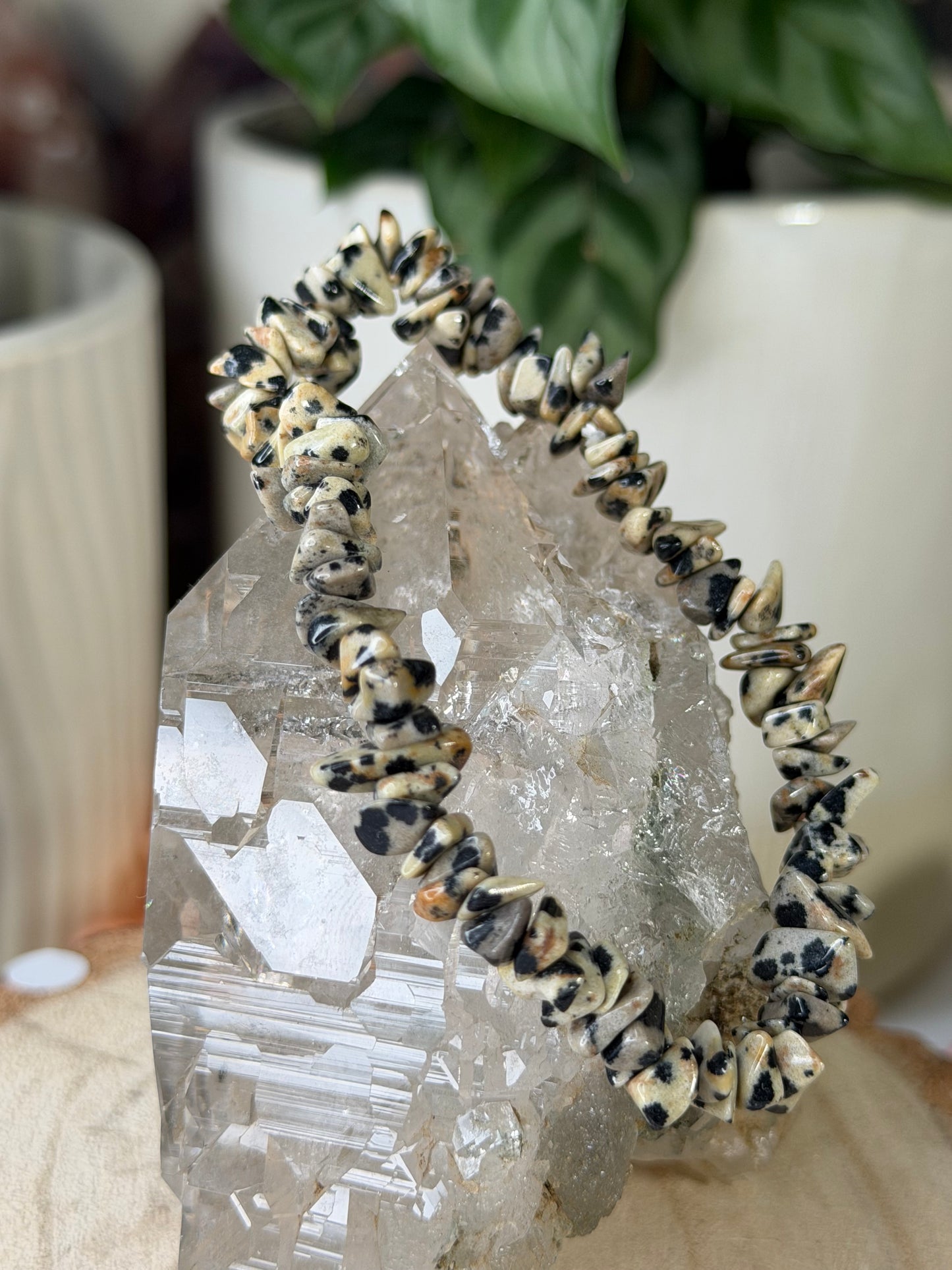 Elasticated Dalmatian Jasper Bracelet