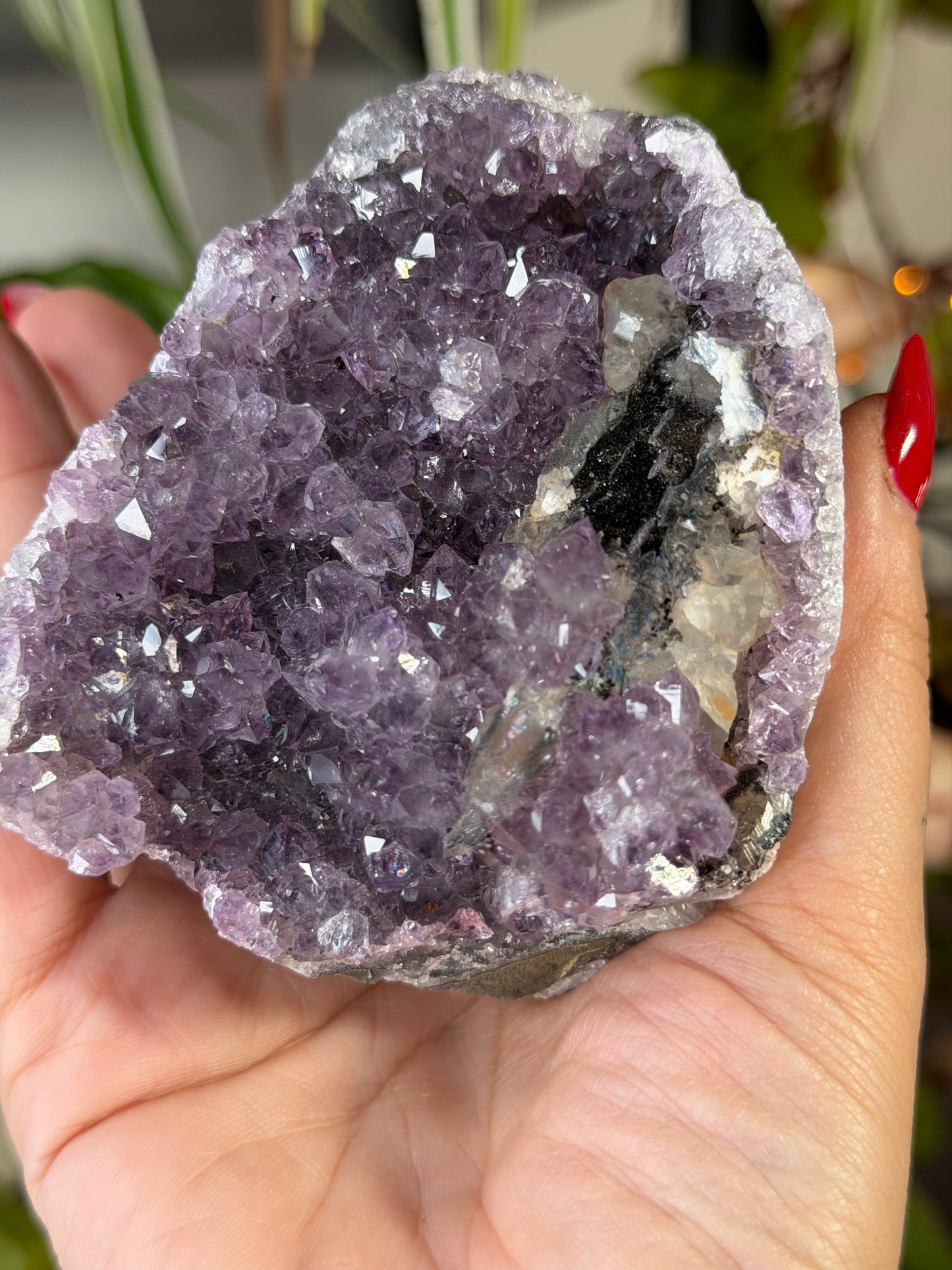 Amethyst Cut Base From Uruguay 4 | 372g