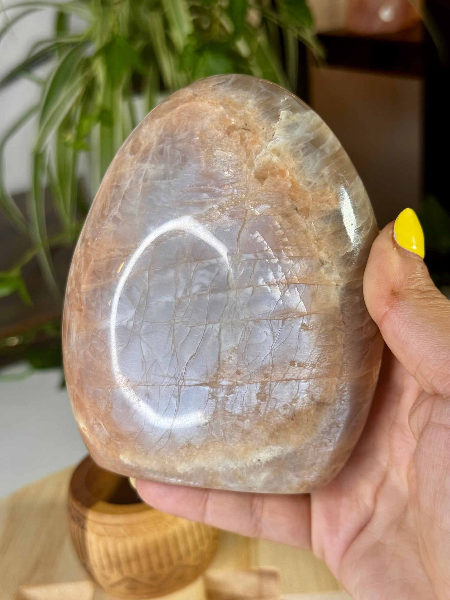 Flashy Peach Moonstone Freeform  | 645g