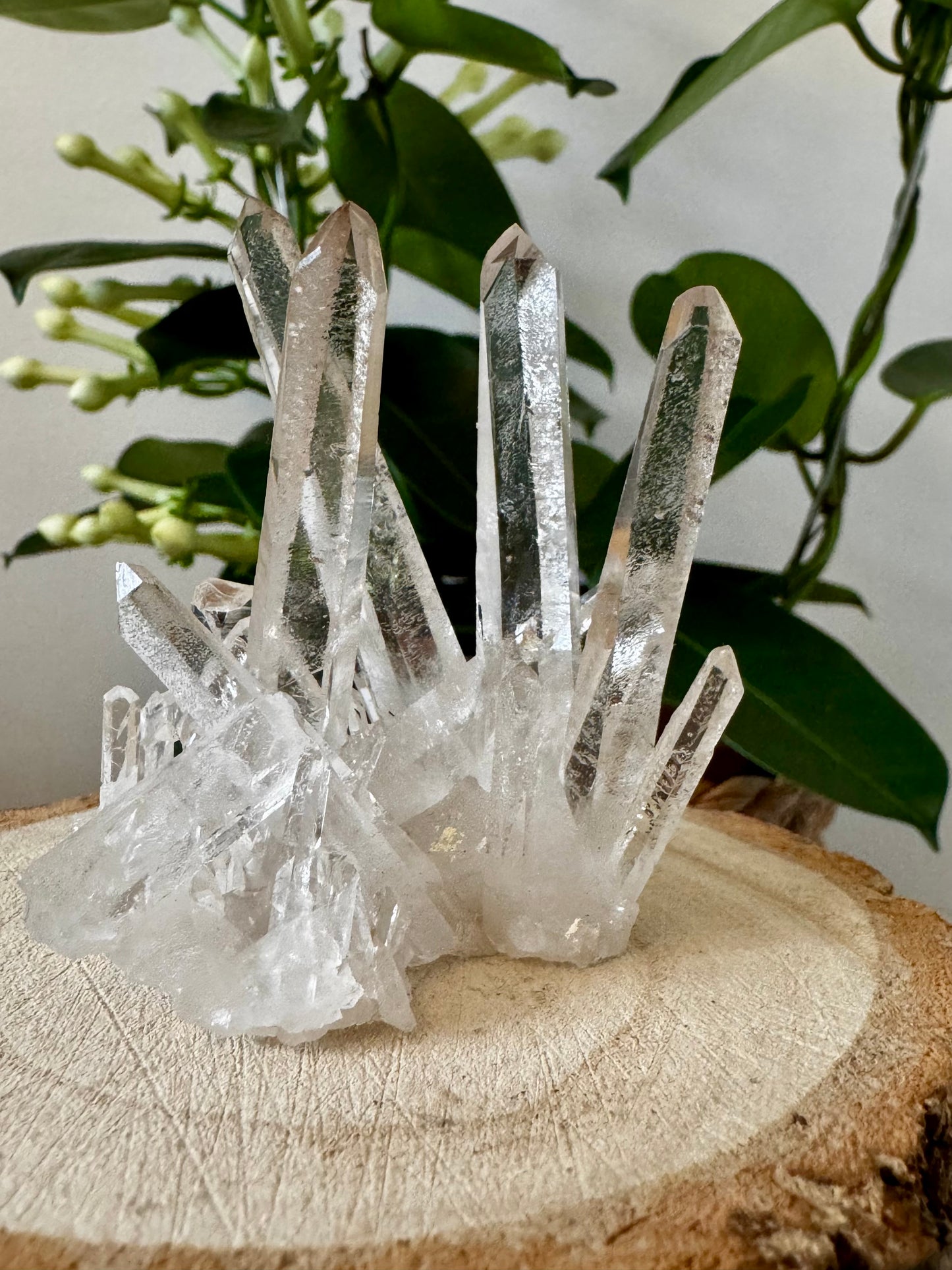 AAA Unique Clear Quartz Cluster | 77g