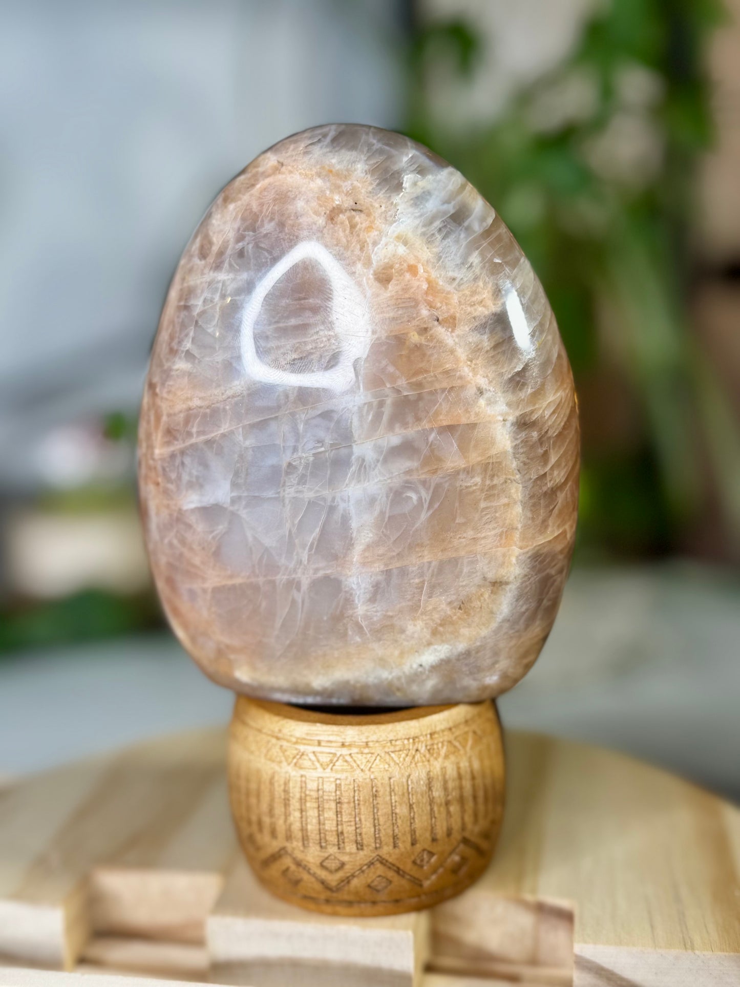 Flashy Peach Moonstone Freeform  | 645g
