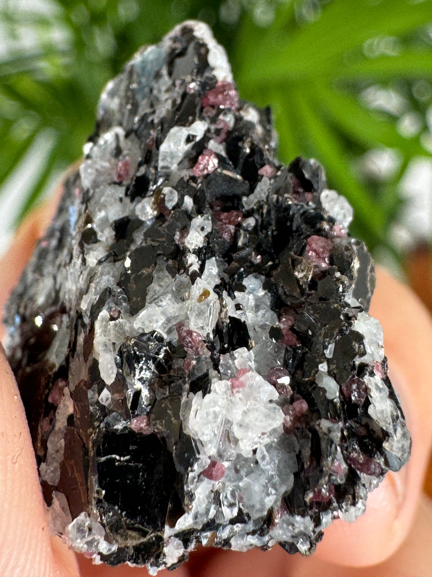 Unusual Kyanite & Garnet Specimen on Gneiss Biotite | 13g