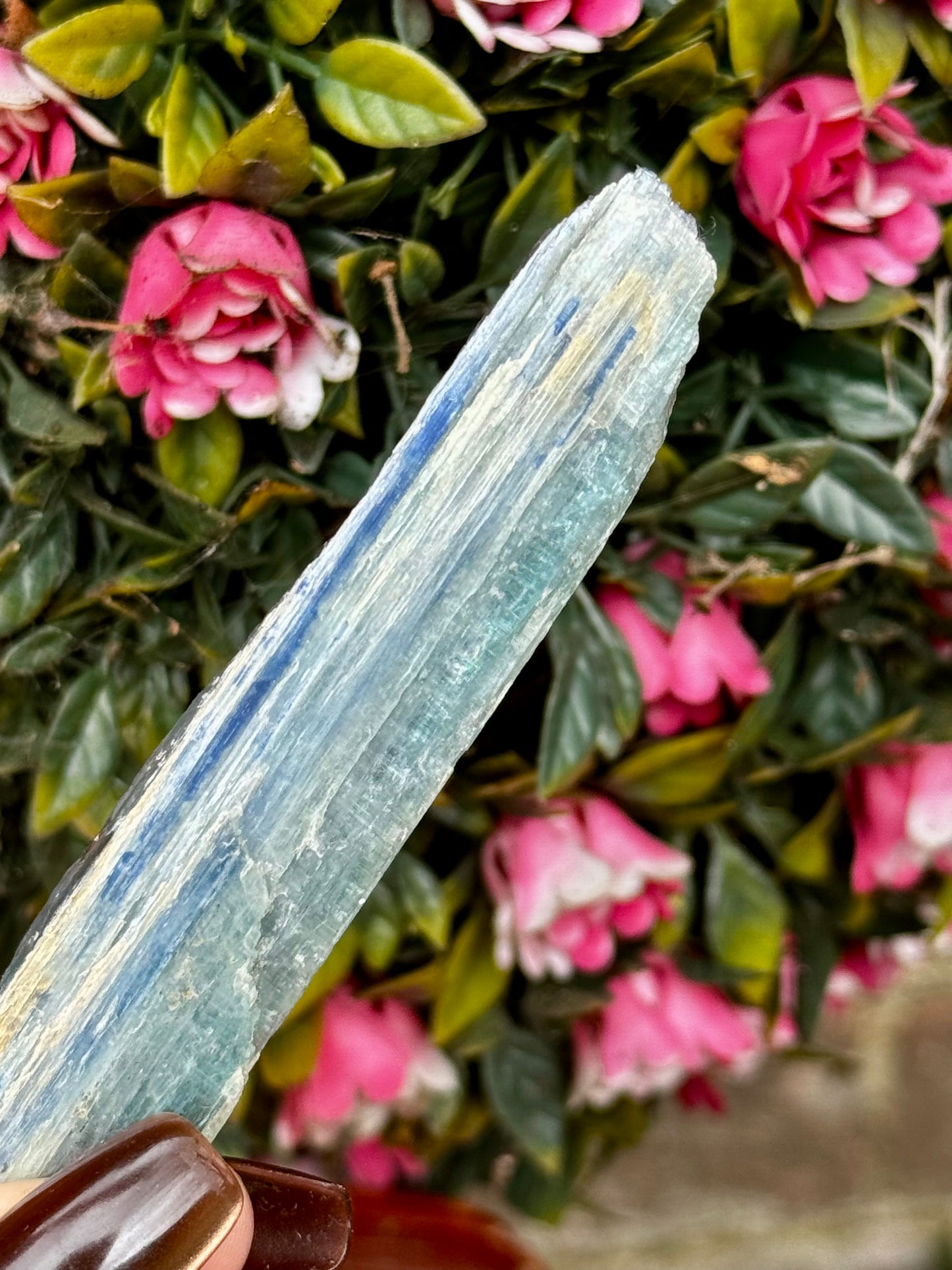 Blue Green Kyanite from Zambia | 24g