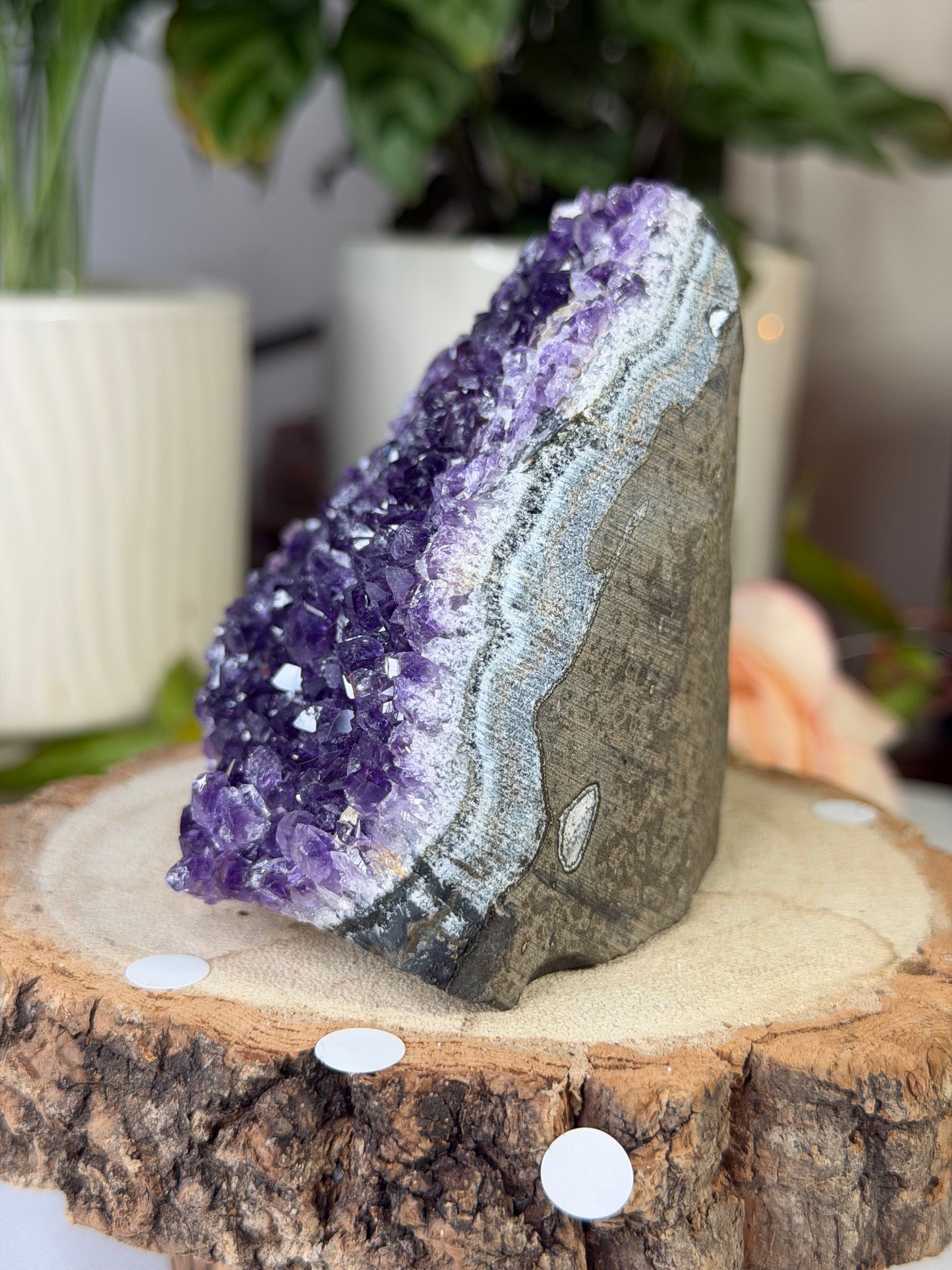 Amethyst Cut Base From Uruguay 1 | 440g