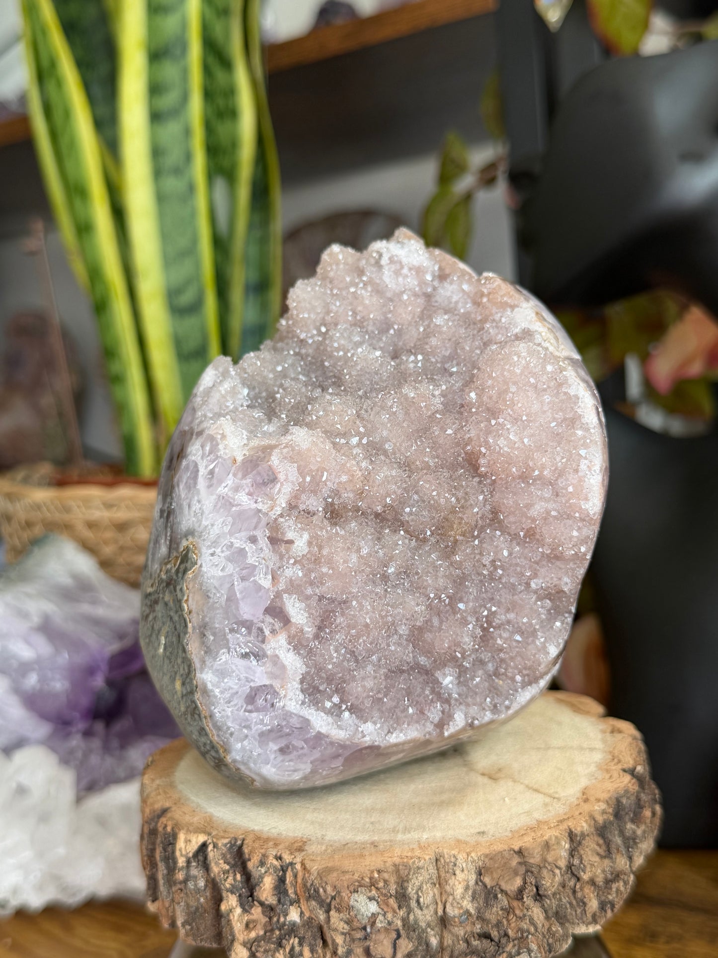 Stunning Sugar Amethyst 'Flower' Brasil | 1.5kg