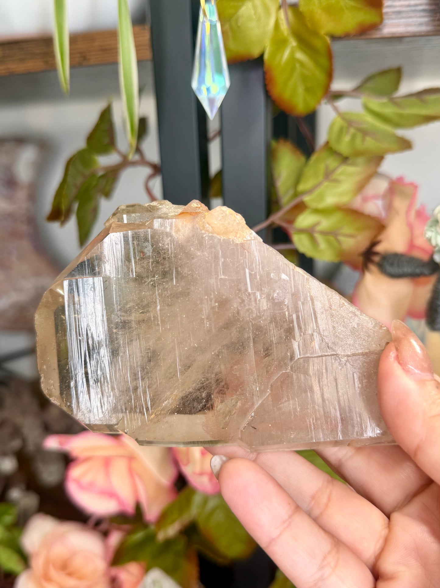 Natural Tabular Citrine | 219g