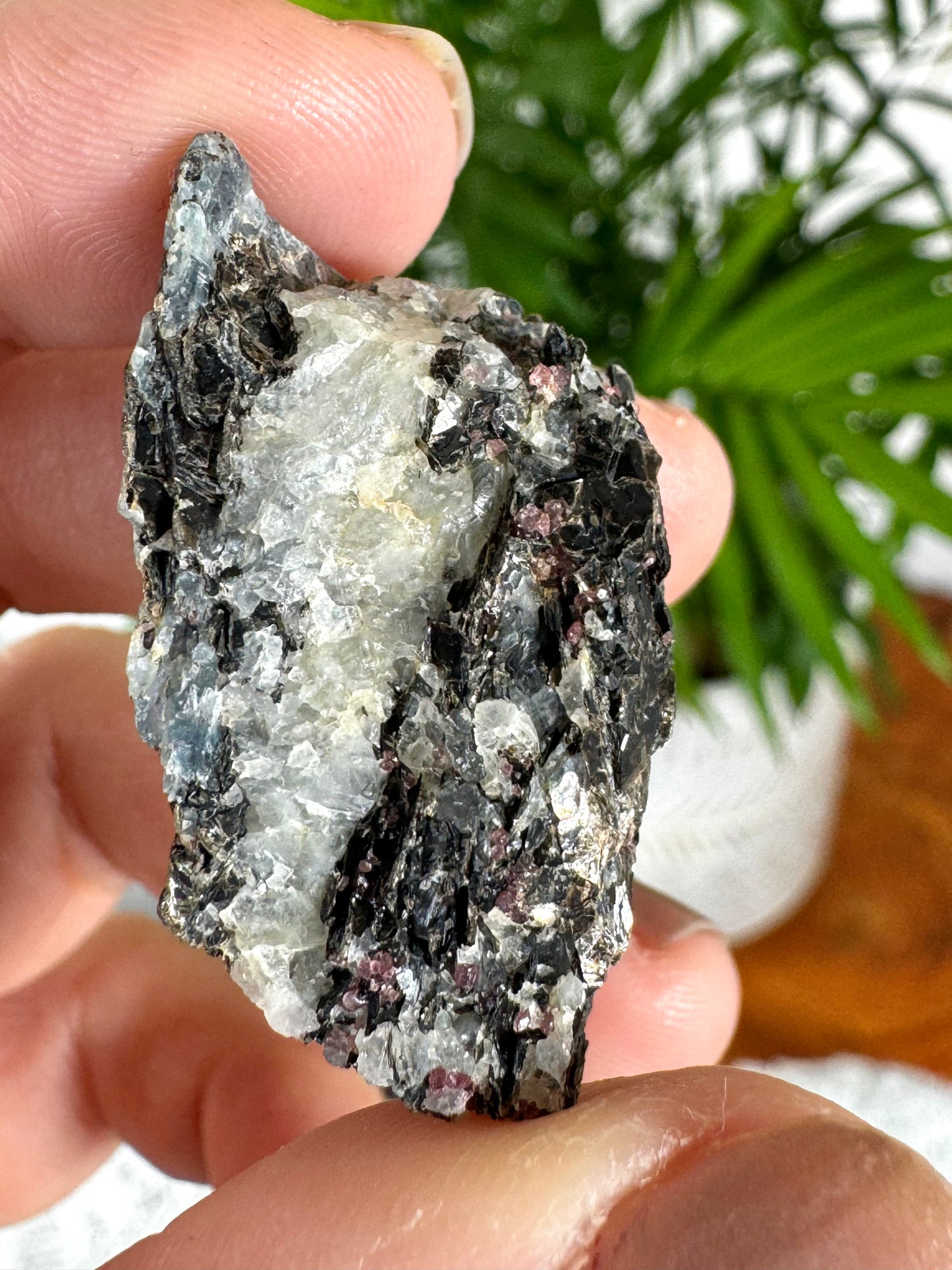 Unusual Kyanite & Garnet Specimen on Gneiss Biotite | 13g