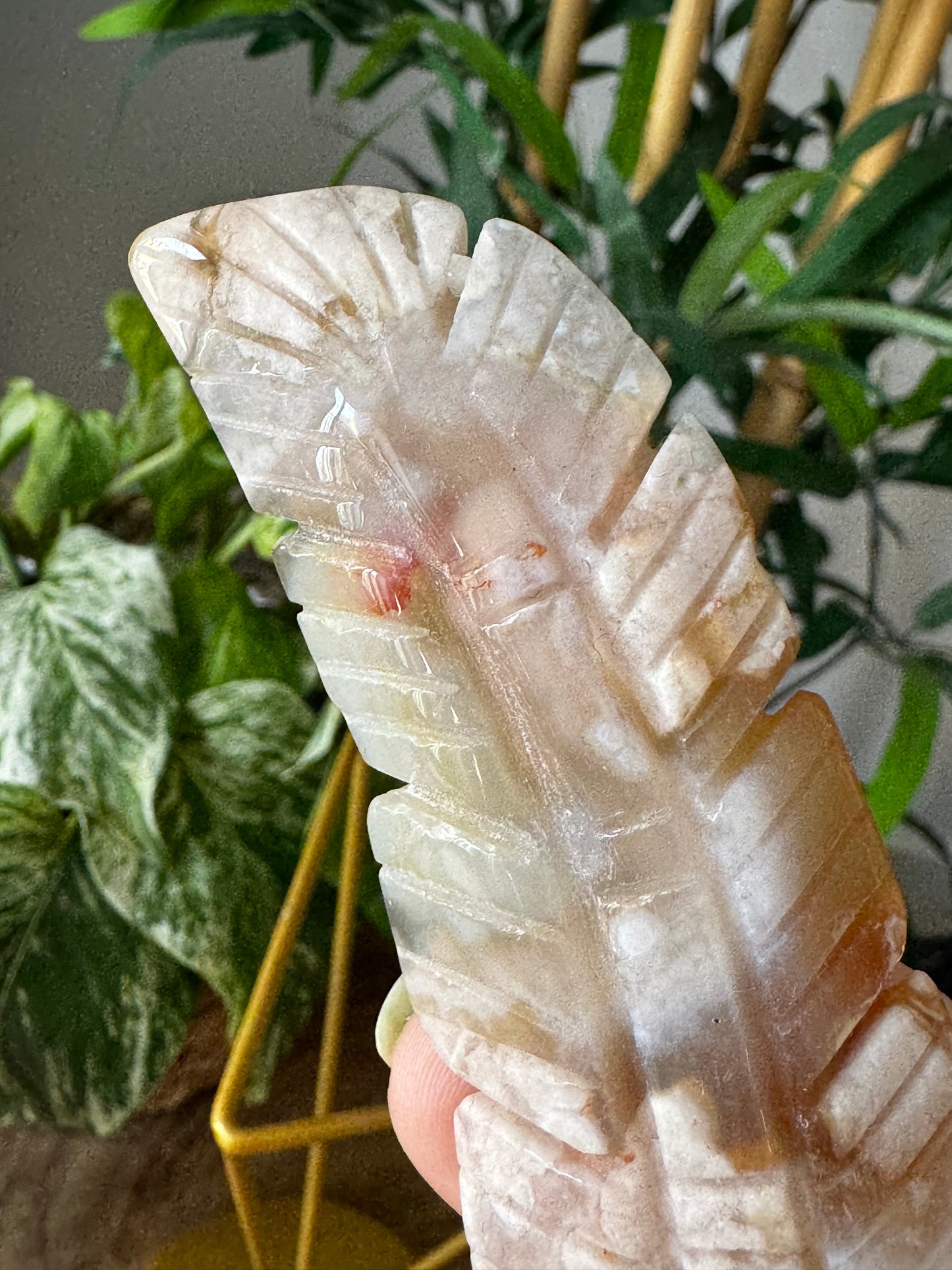 Flower Agate Feather | 49g