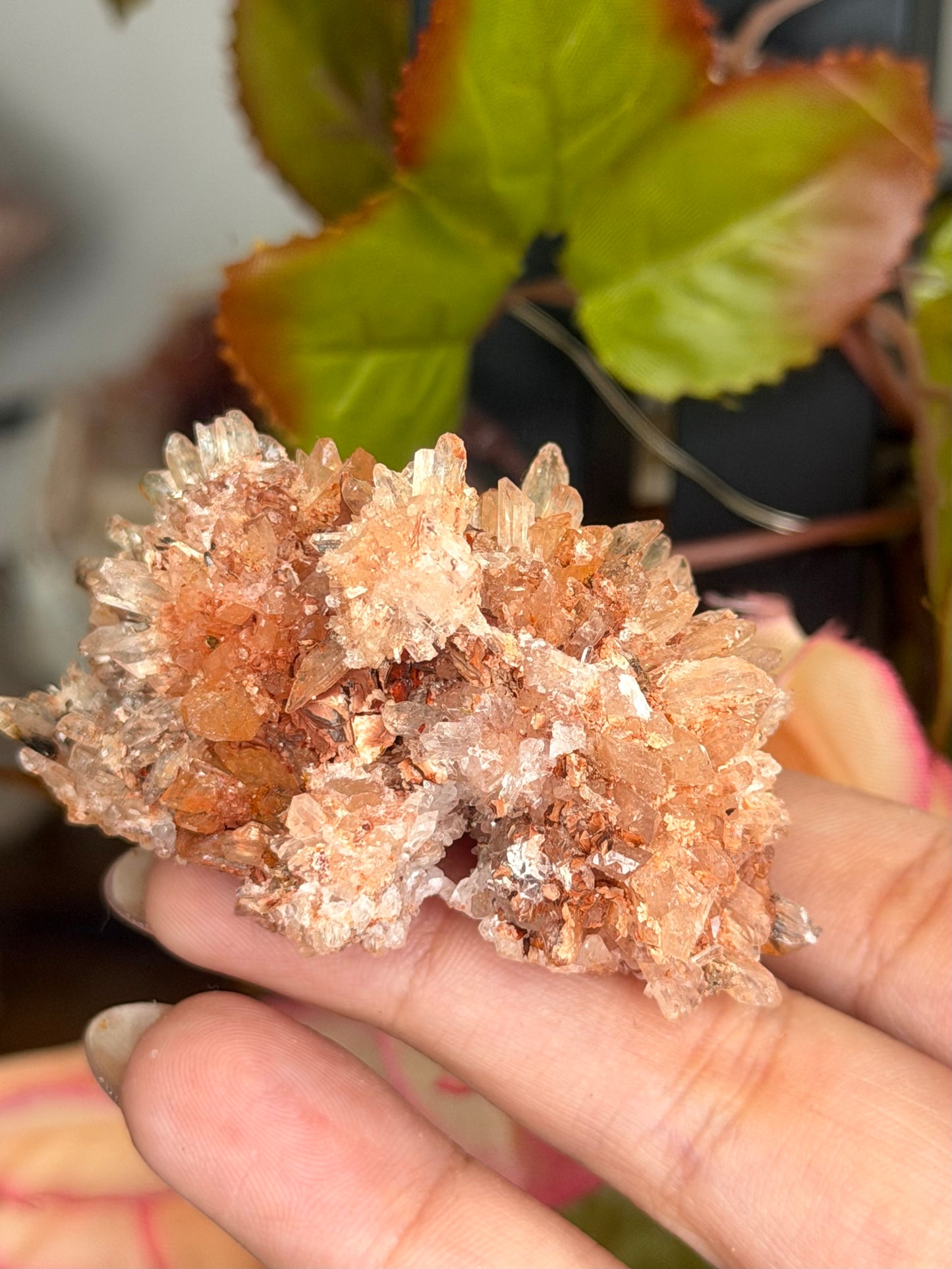 Creedite Cluster | 53g