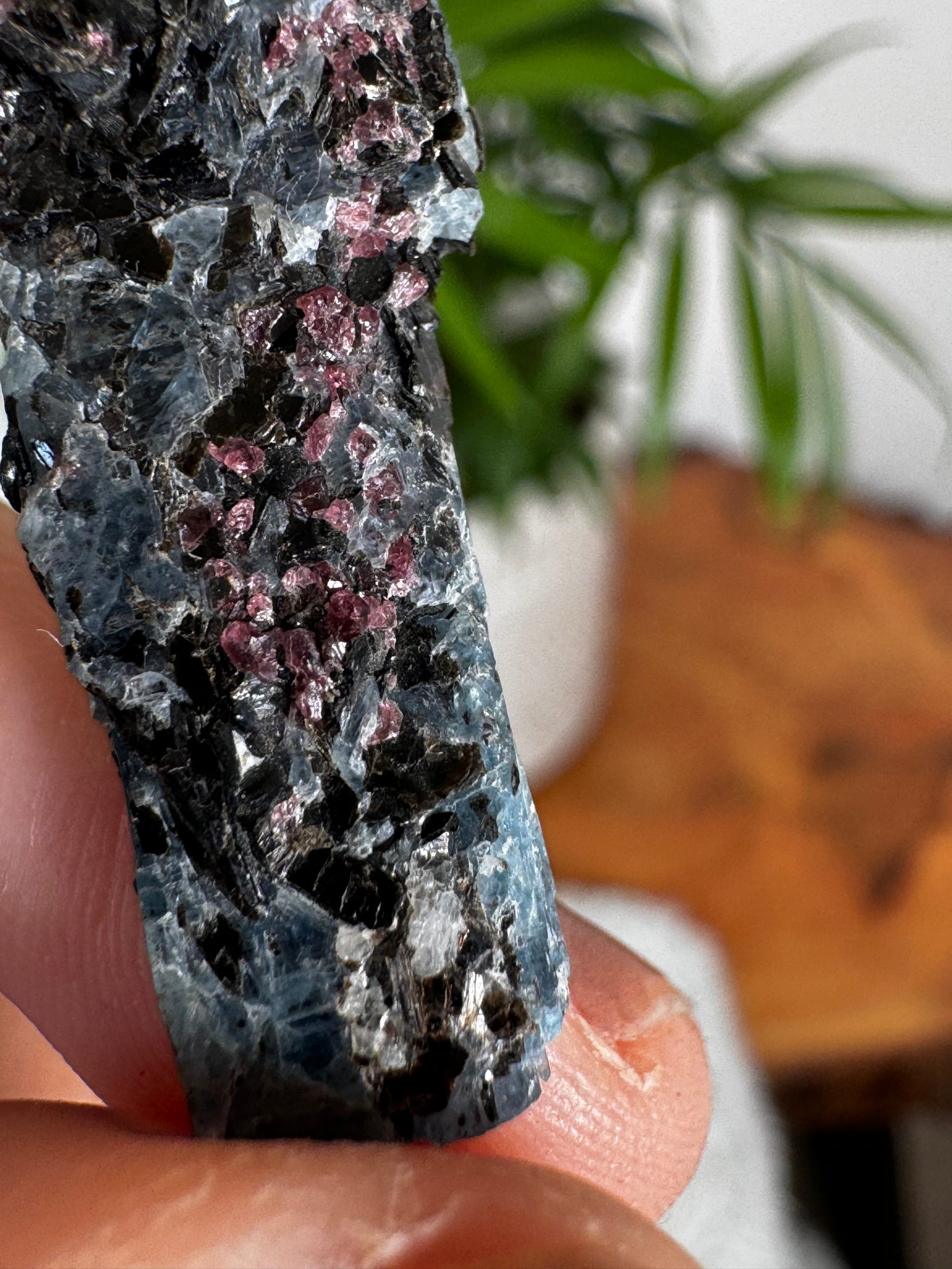 Unusual Kyanite & Garnet Specimen on Gneiss Biotite | 6g