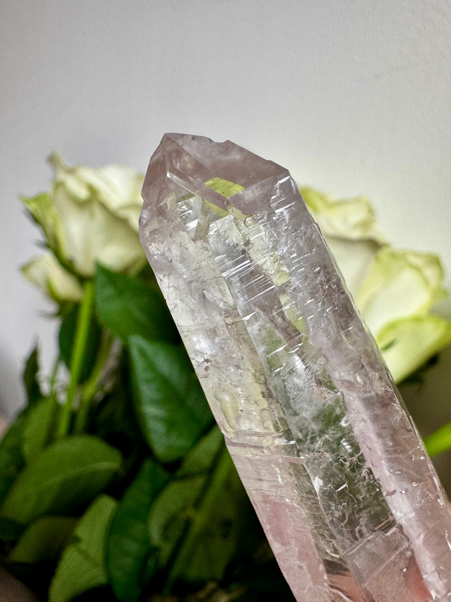 Extra Quality  Natural Serra do Cabral Cathedral Lemurian quartz | 95g