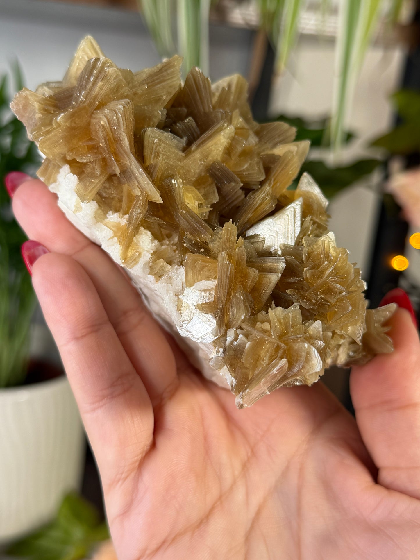 Gorgeous Star Mica from Brazil  | 318g