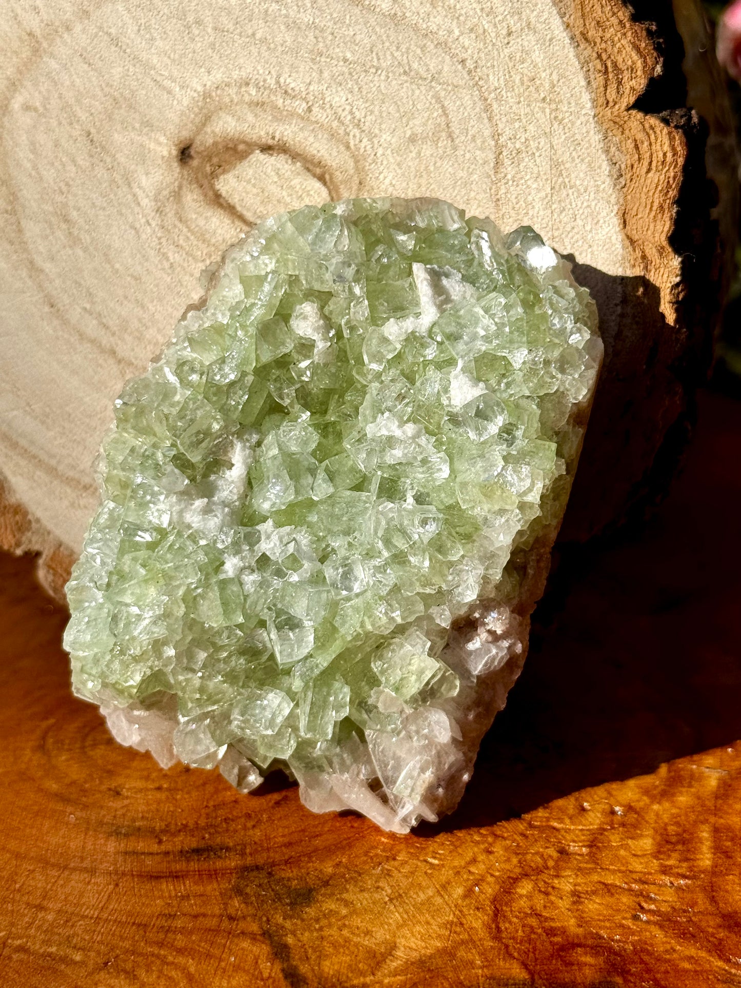 Green Apophyllite Cluster | 155g