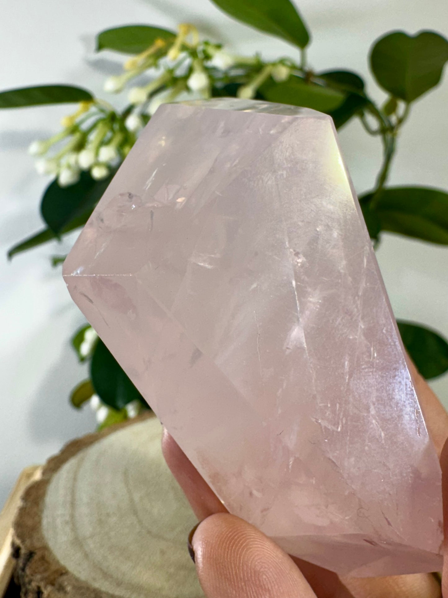 High Quality Rose Quartz Free Form | 146g | Discounted (chipped)