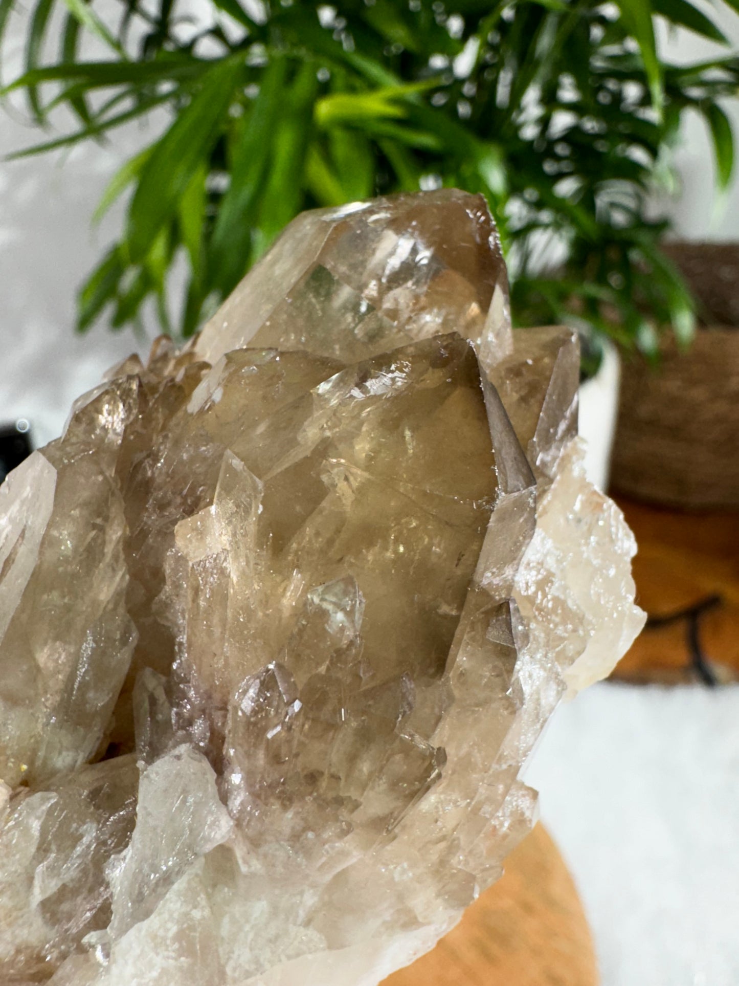 100% Natural Congo ('Kundalini) Citrine | 209g