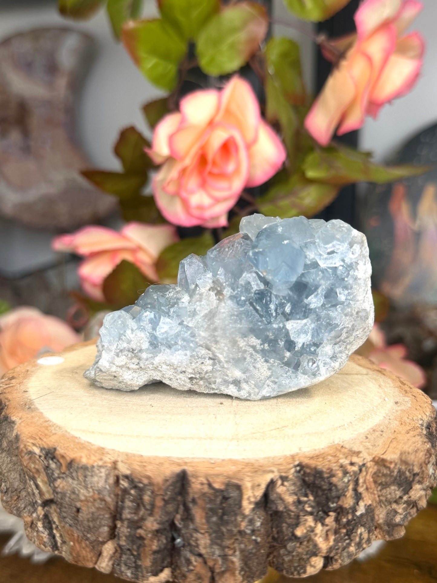 Celestite Cluster | 228g