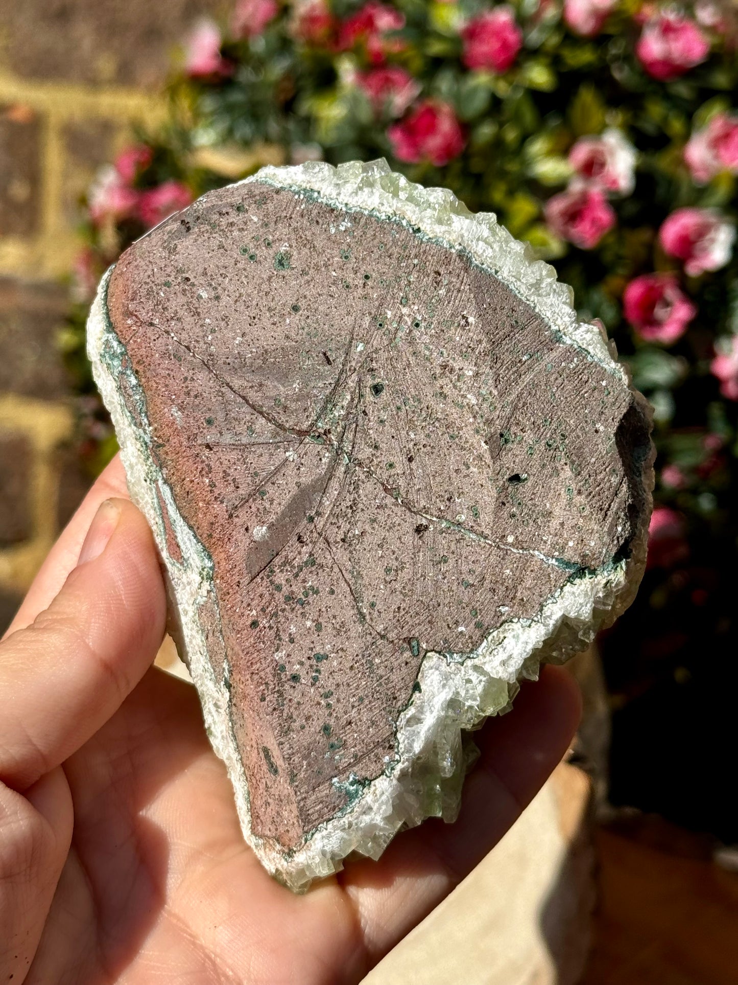 Green Apophyllite Cluster | 290g