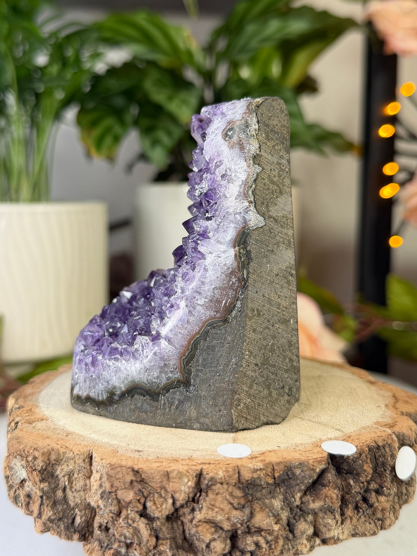 Amethyst Cut Base From Uruguay 3 | 343g