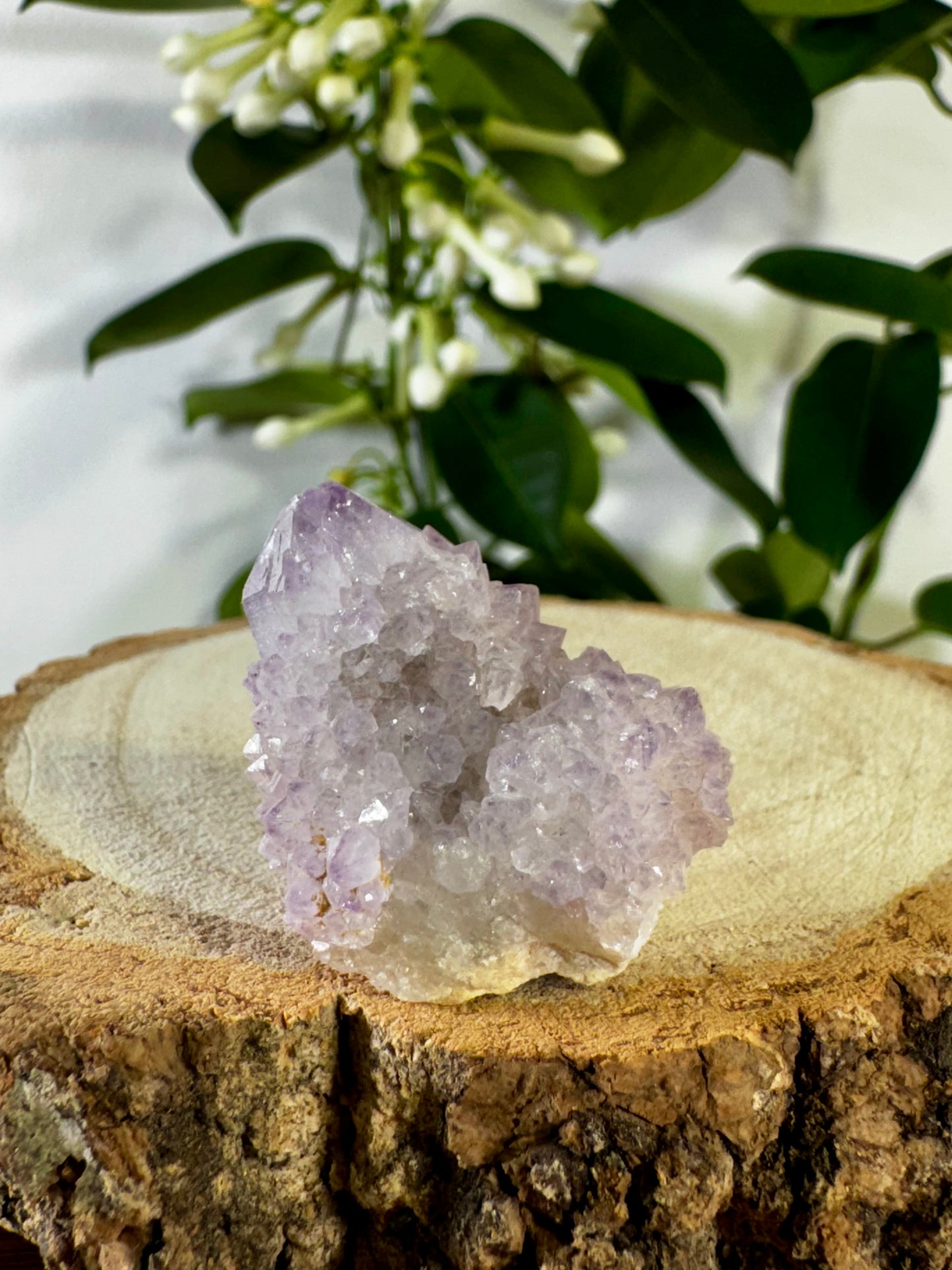 Small Spirit Quartz | 22g