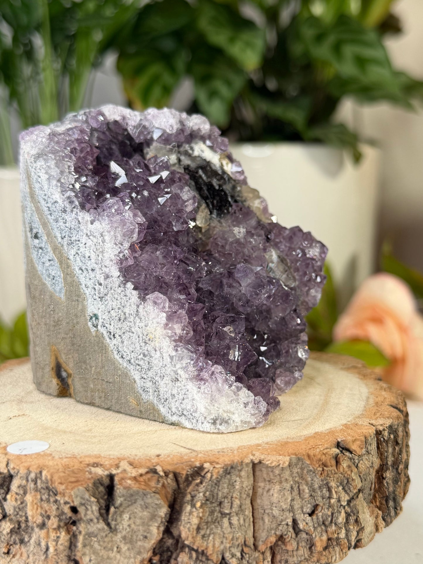 Amethyst Cut Base From Uruguay 4 | 372g