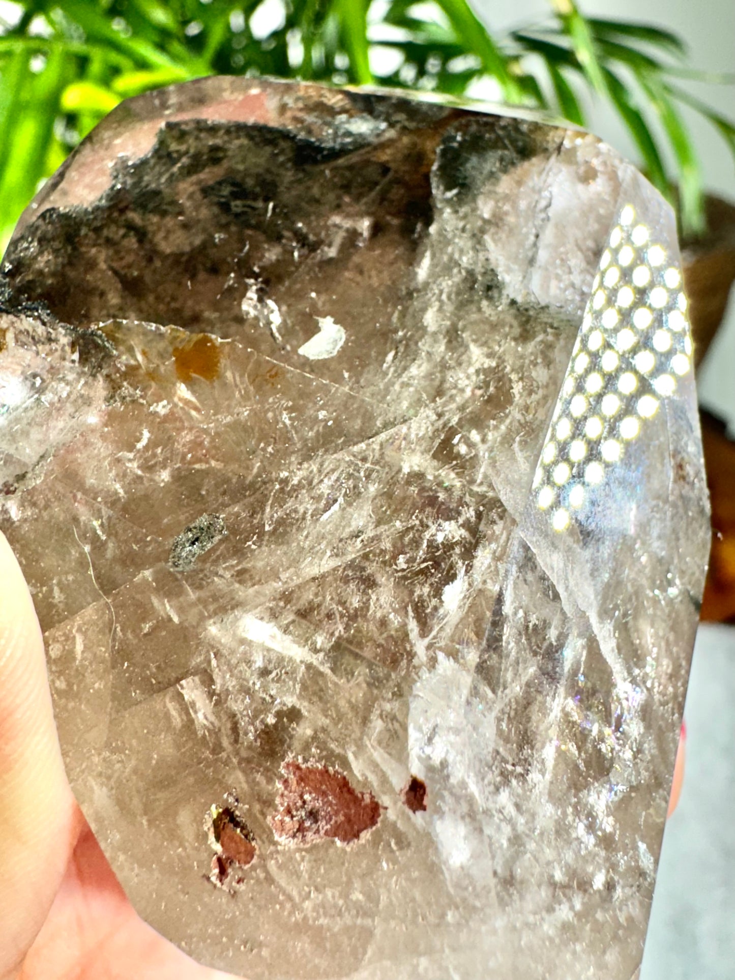 Shaman (Garden) Smokey Quartz Free Form | 196g