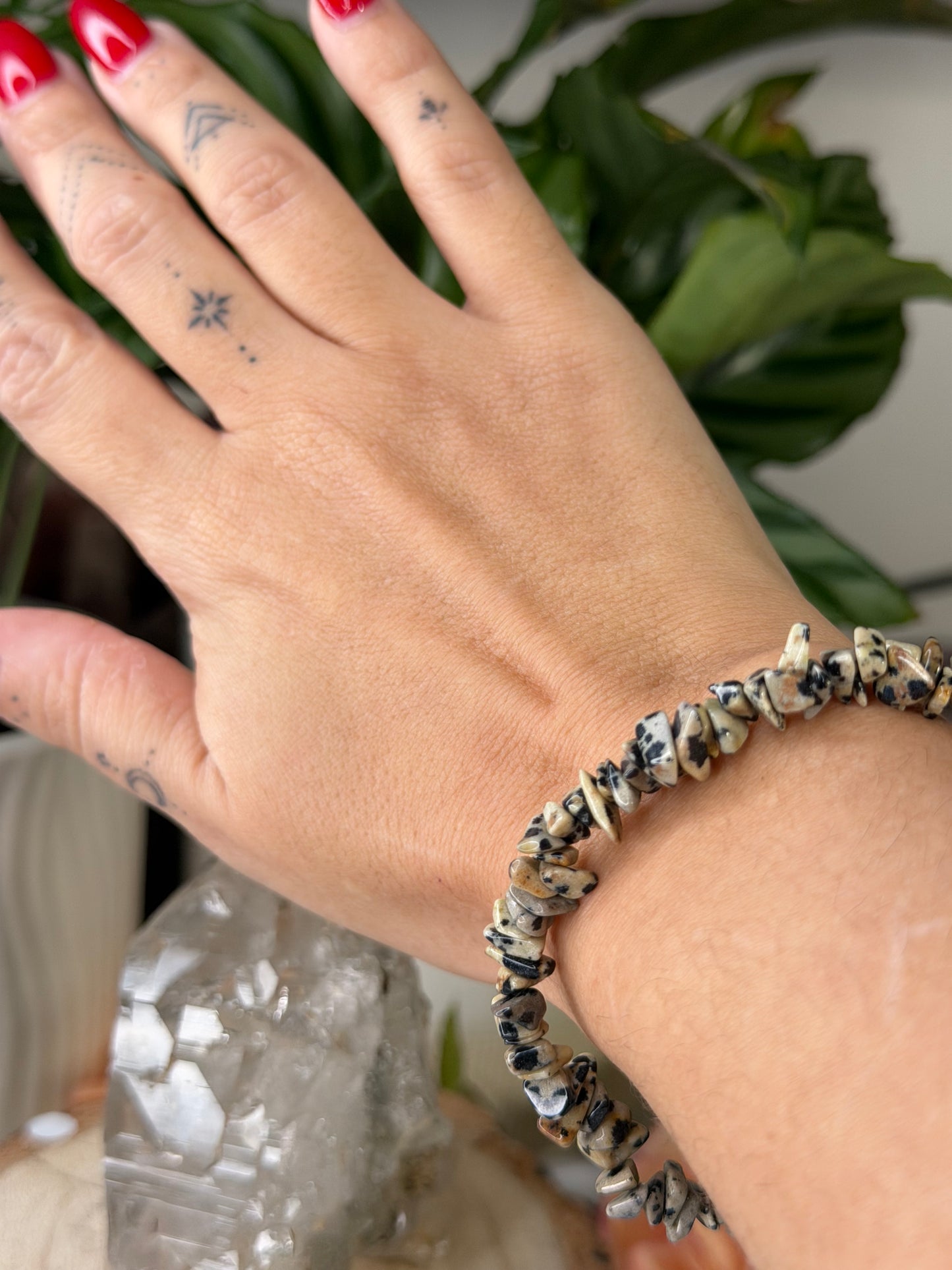 Elasticated Dalmatian Jasper Bracelet