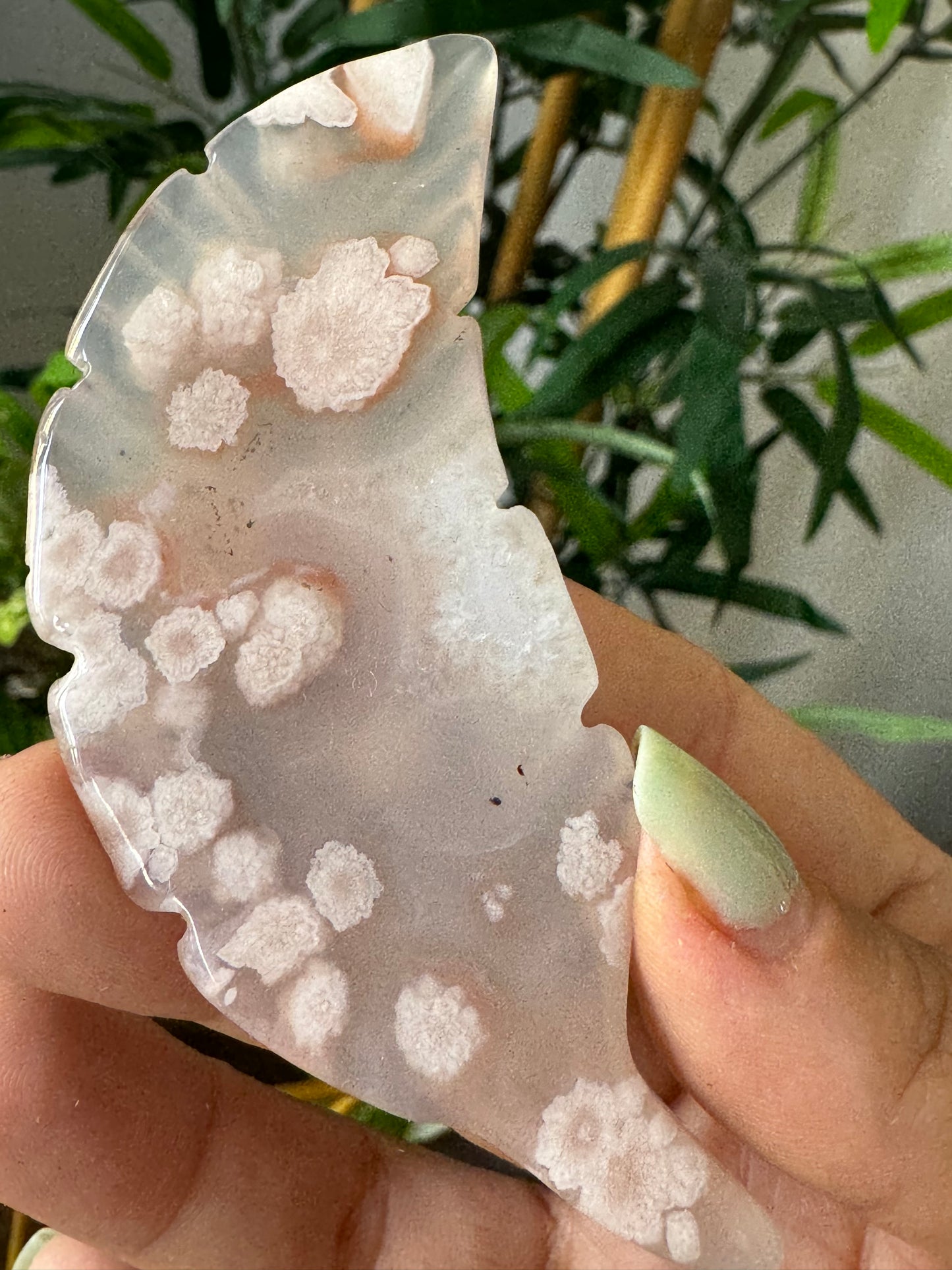 Flower Agate Feather |  37g