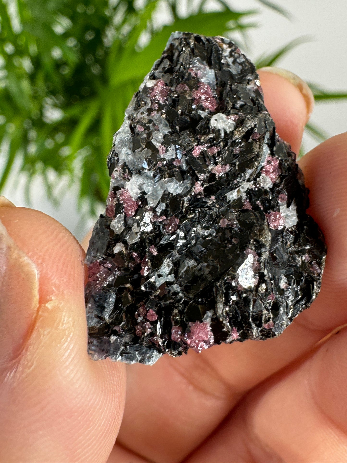 Unusual Kyanite & Garnet Specimen on Gneiss Biotite | 8g