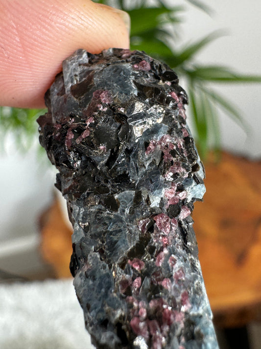 Unusual Kyanite & Garnet Specimen on Gneiss Biotite | 6g