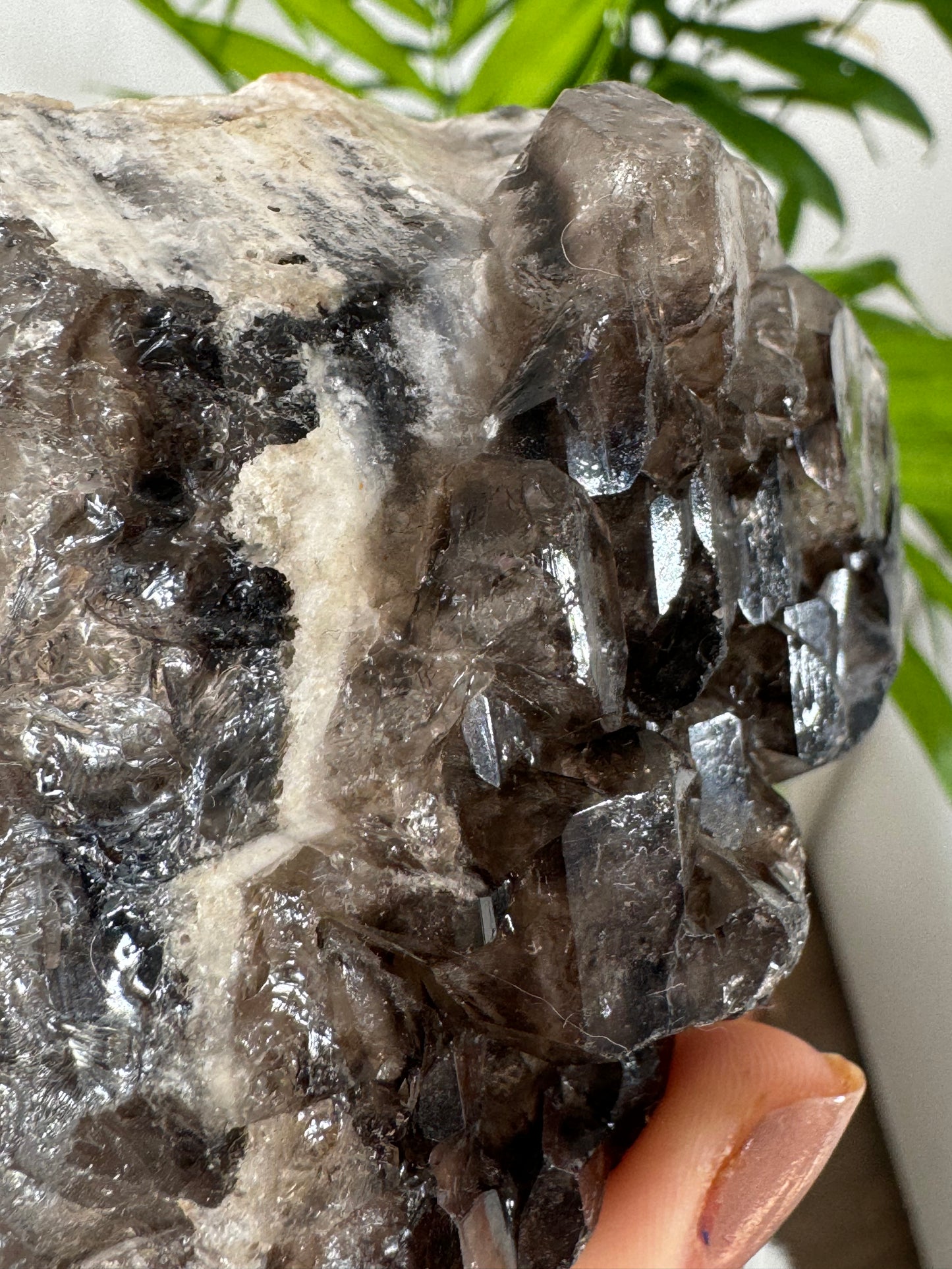 Elestial Smokey Quartz | 353g