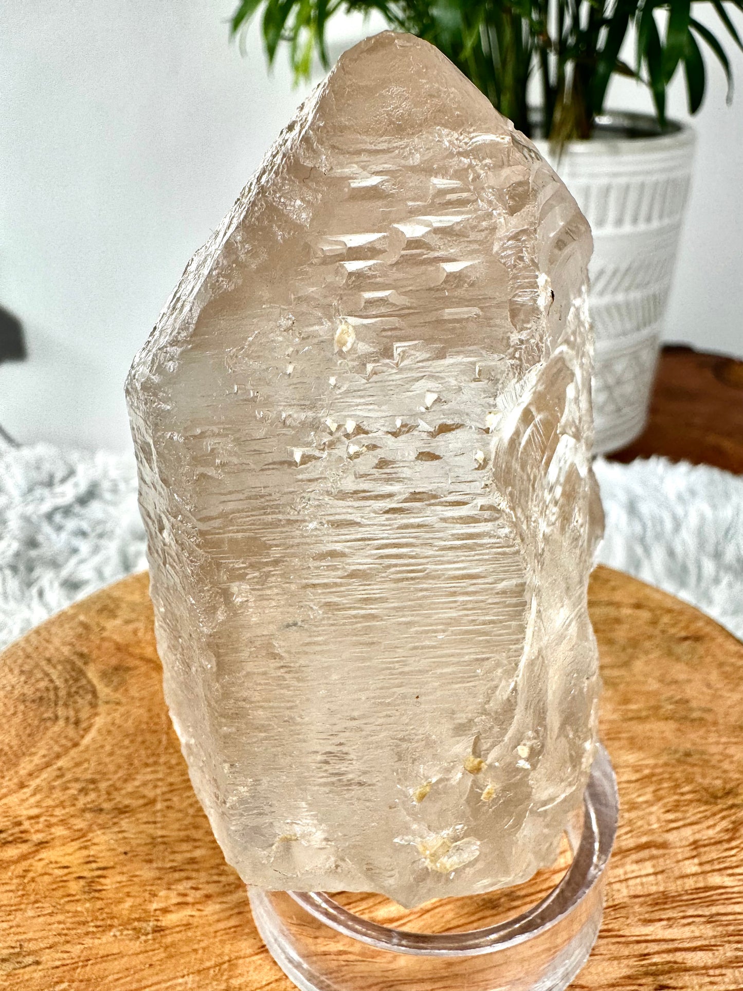 Star Seed - Trine Master Healer & Record Keeper Natural Clear Quartz Point | 271g | Unusual (Copy)