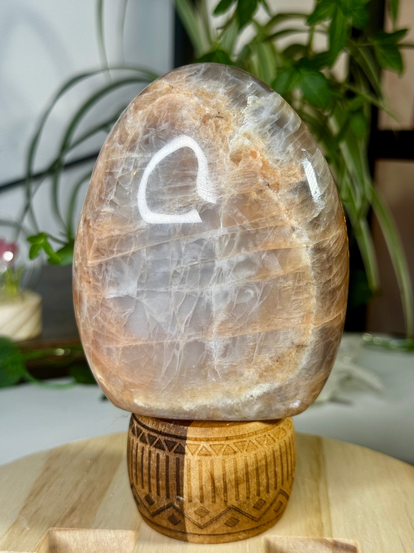 Flashy Peach Moonstone Freeform  | 645g