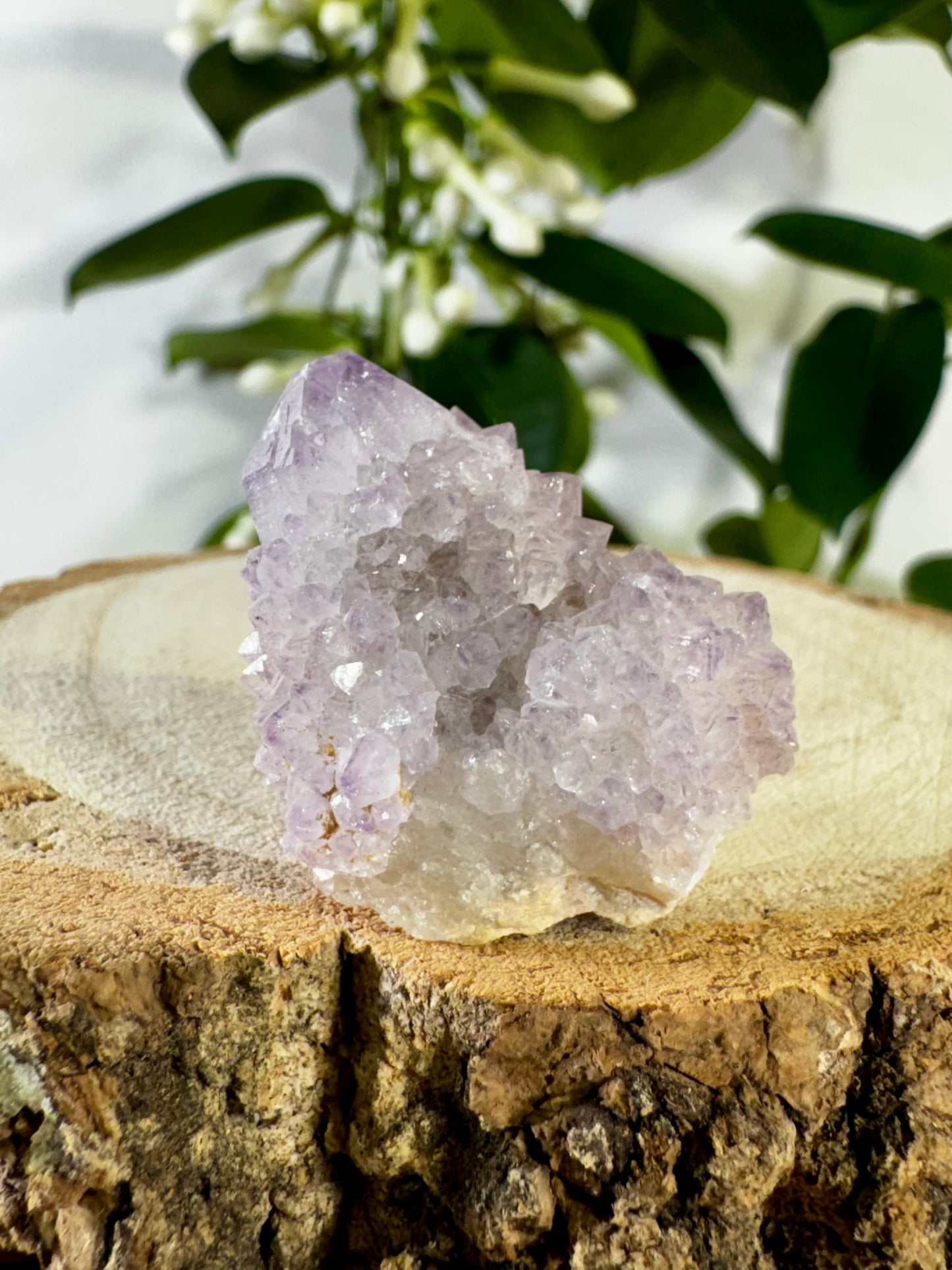 Small Spirit Quartz | 22g