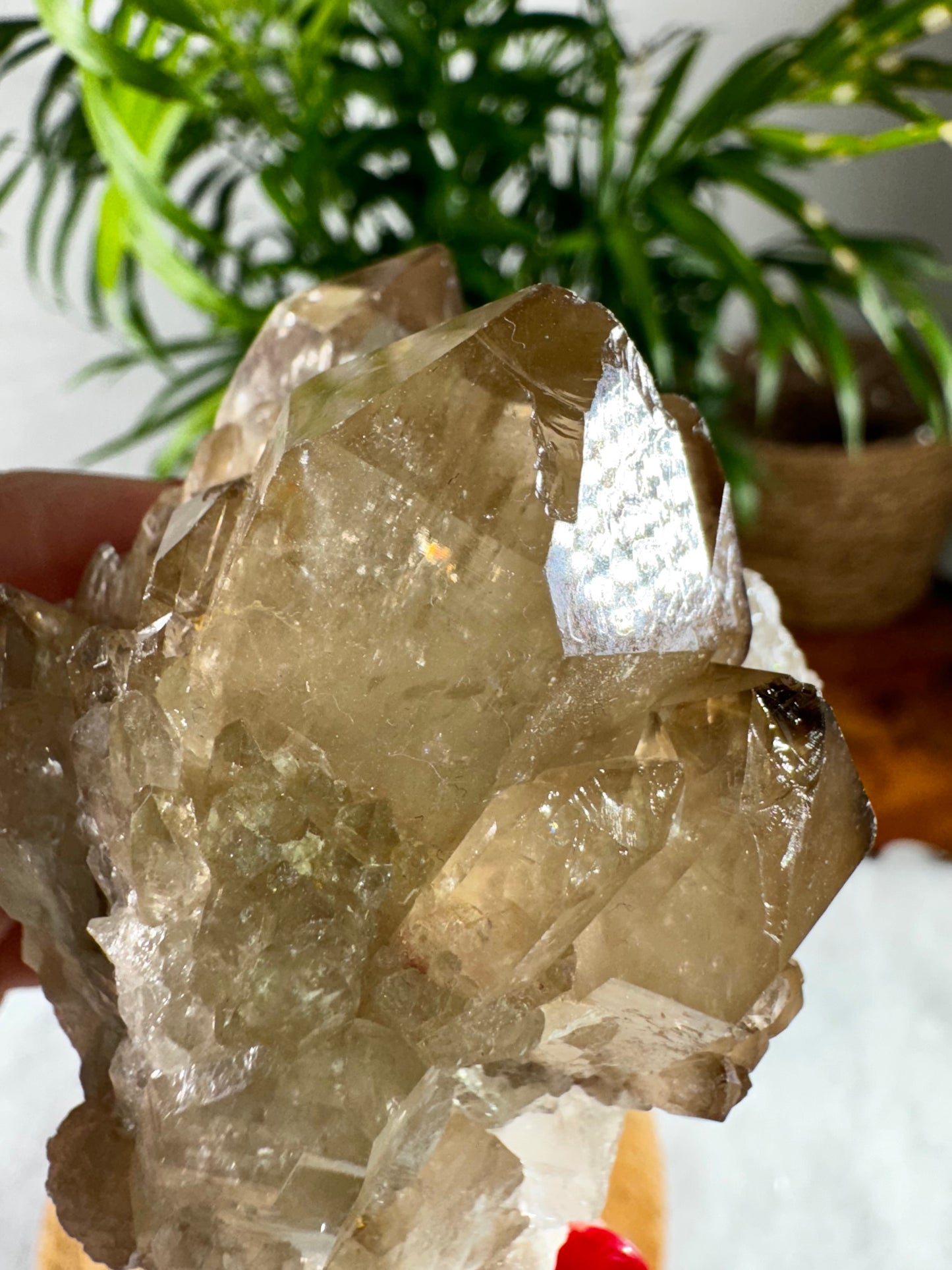 100% Natural Congo ('Kundalini) Citrine | 209g