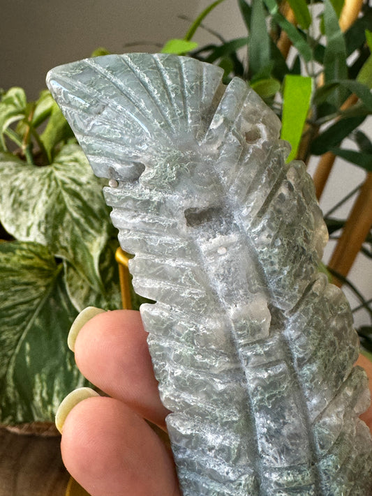Moss Agate Feather | F4
