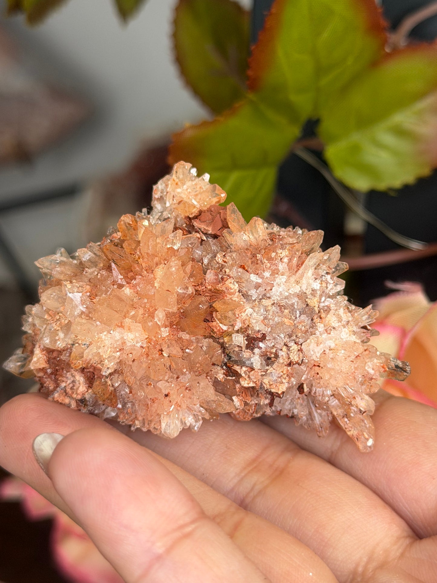 Creedite Cluster | 53g