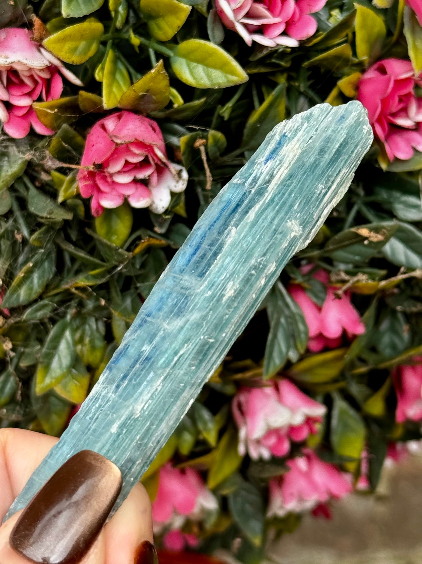 Blue Green Kyanite from Zambia | 24g