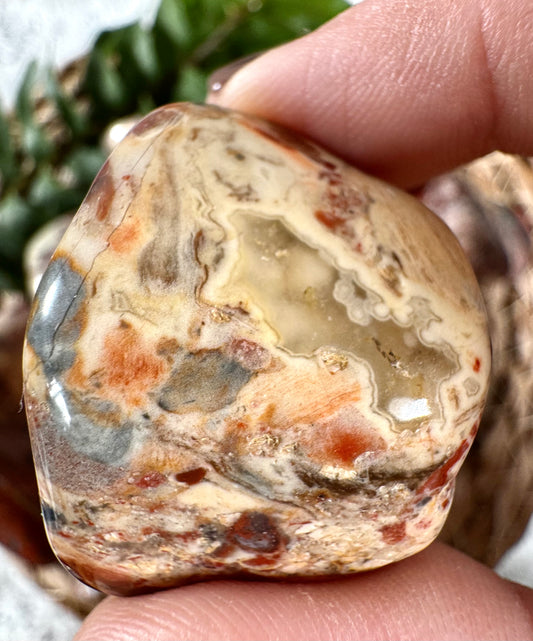 Brec Jasper Light Tumbles | Medium  & Large sizes - Intuitively Chosen