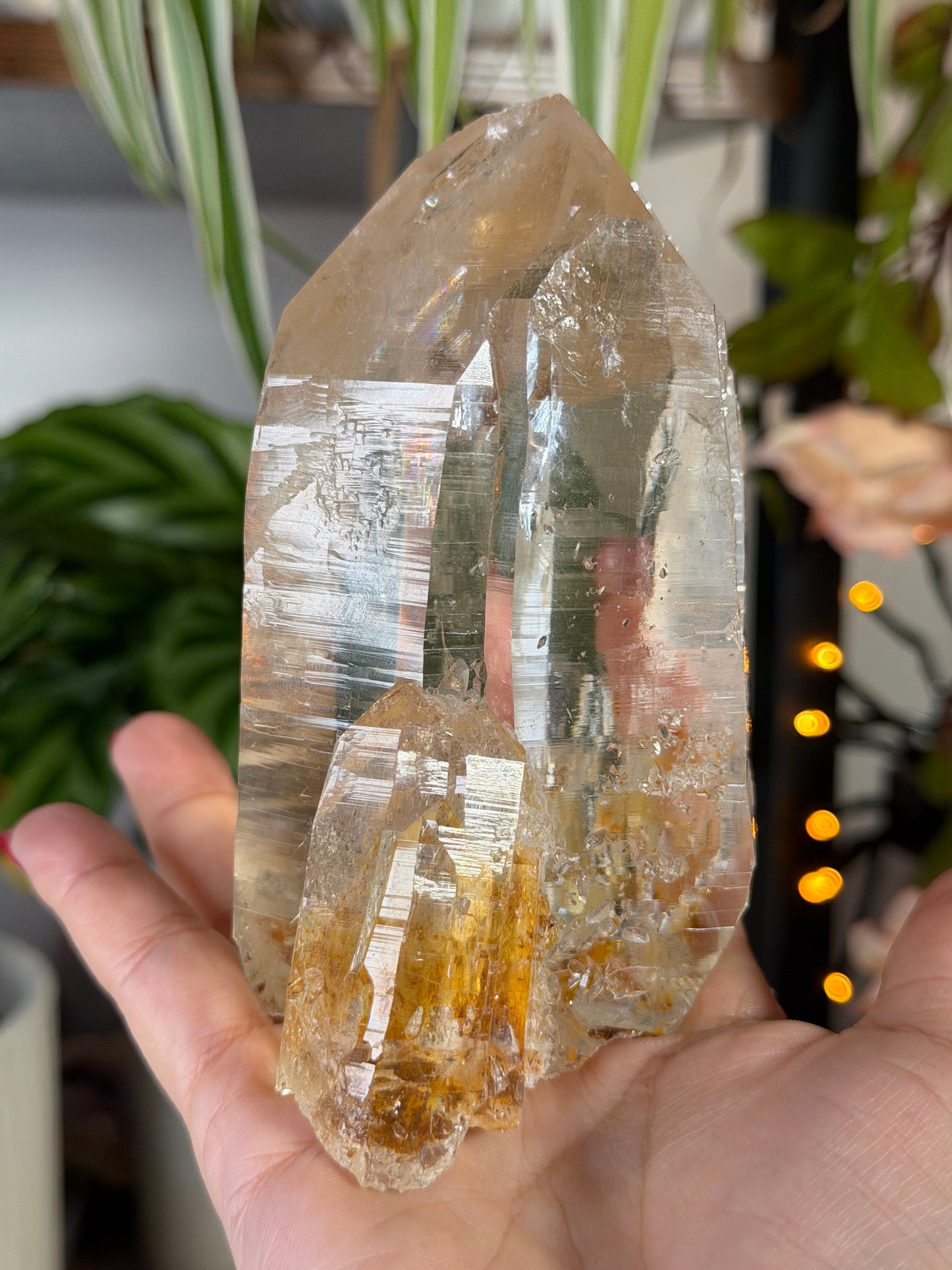High Quality Natural Brazilian Champagne Cathedral Citrine  | 579g