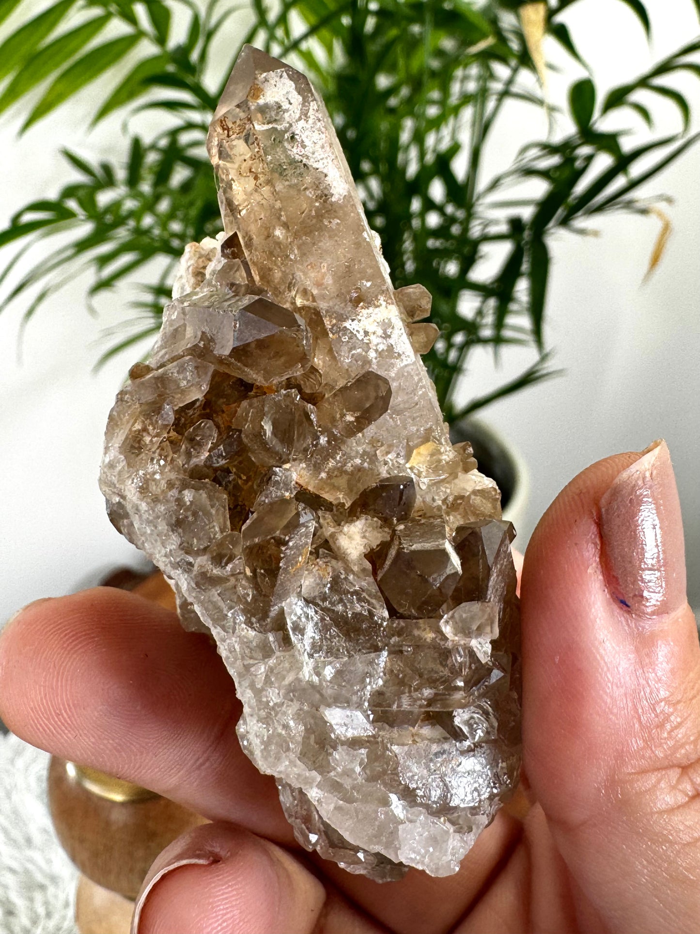 Smokey Quartz Cluster | 84g