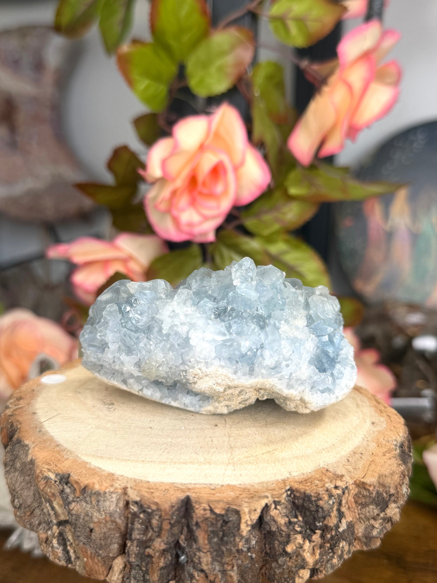 Celestite Cluster | 228g