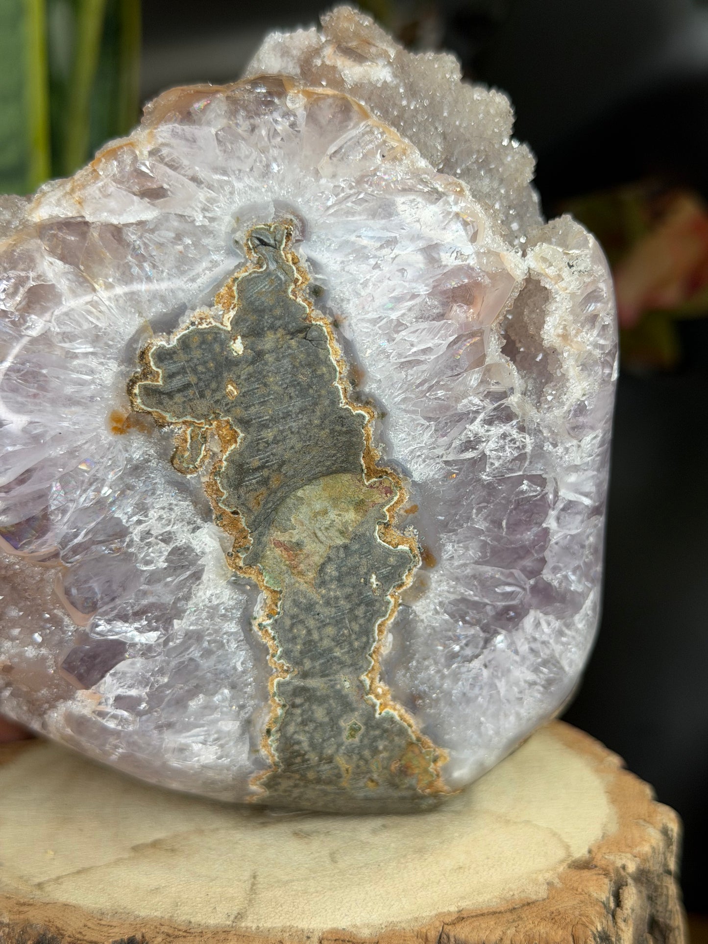 Stunning Sugar Amethyst 'Flower' Brasil | 1.5kg