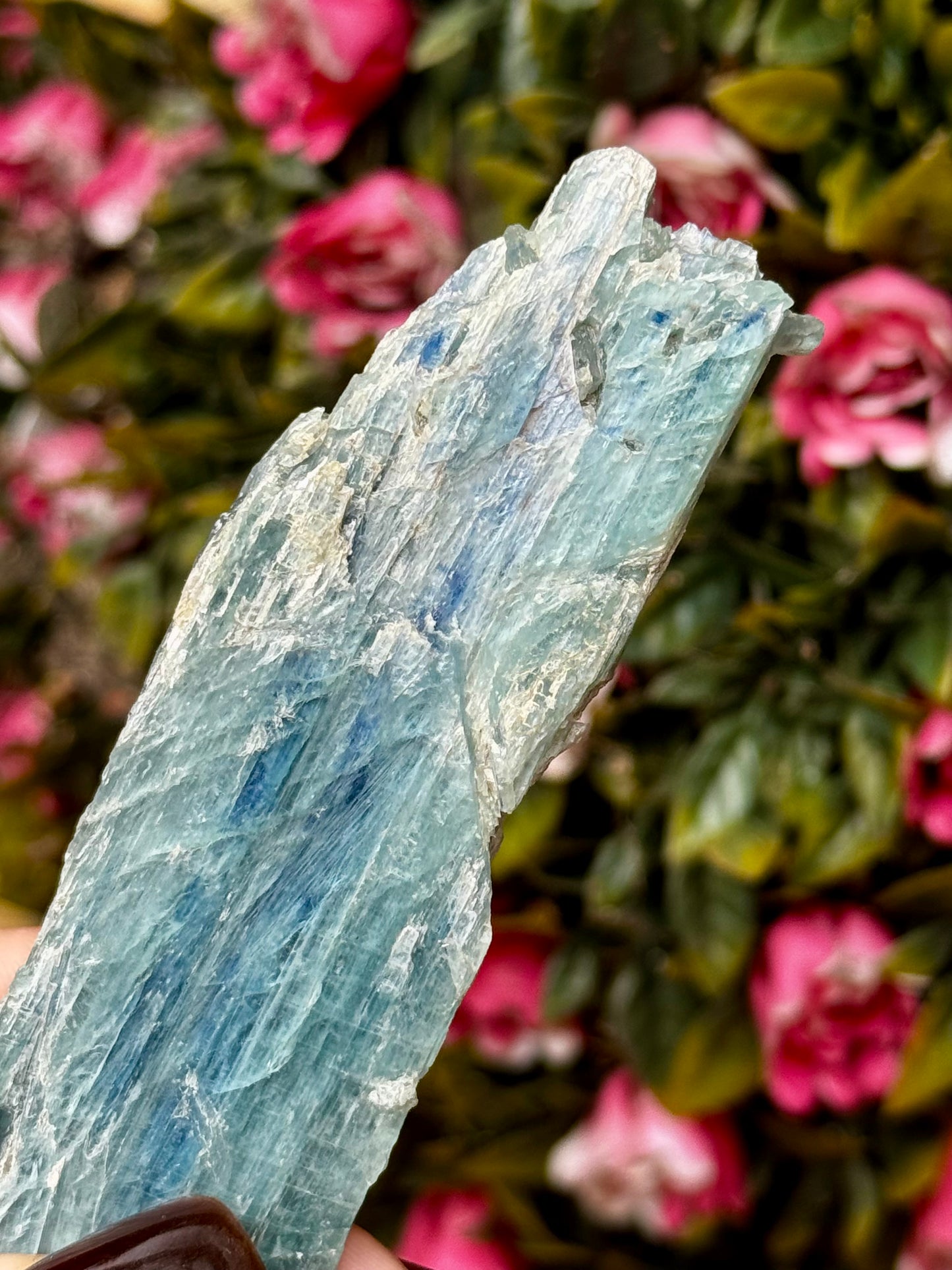 Blue Green Kyanite from Zambia | 56g