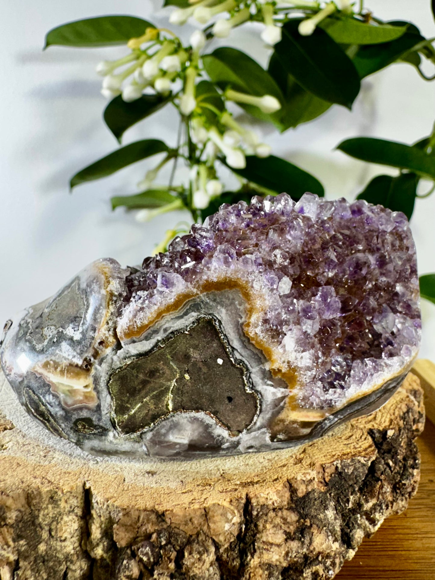 High Quality Amethyst Shoe | 218g