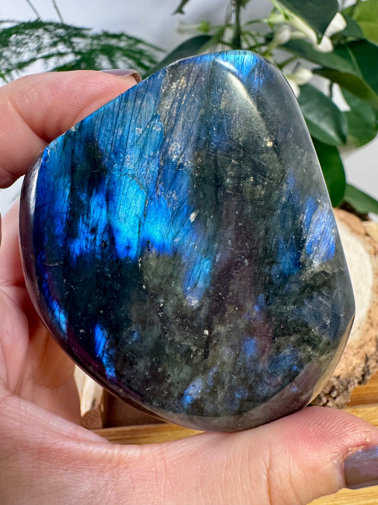 Labradorite Free Form | 276g