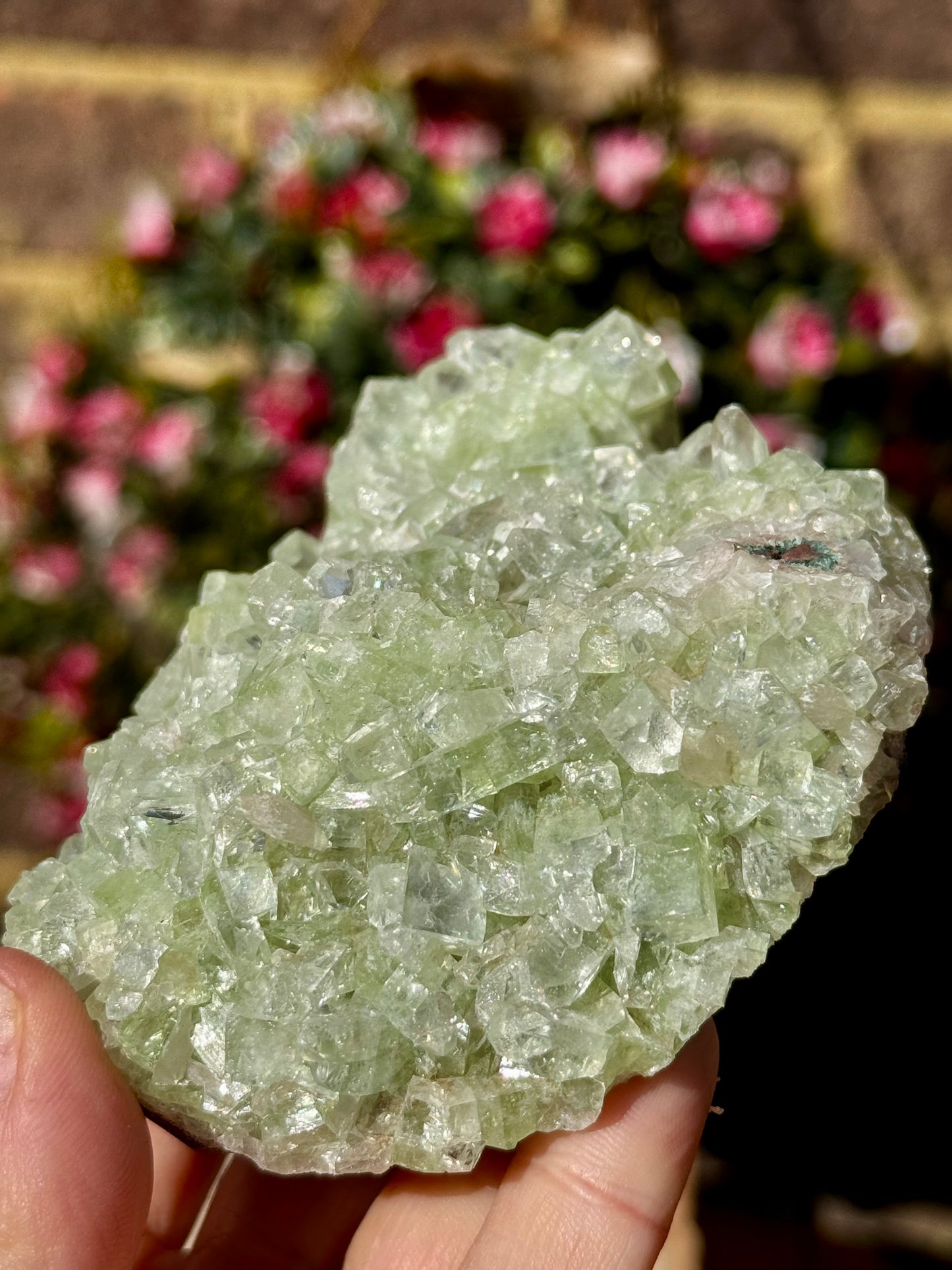 Green Apophyllite Cluster | 290g