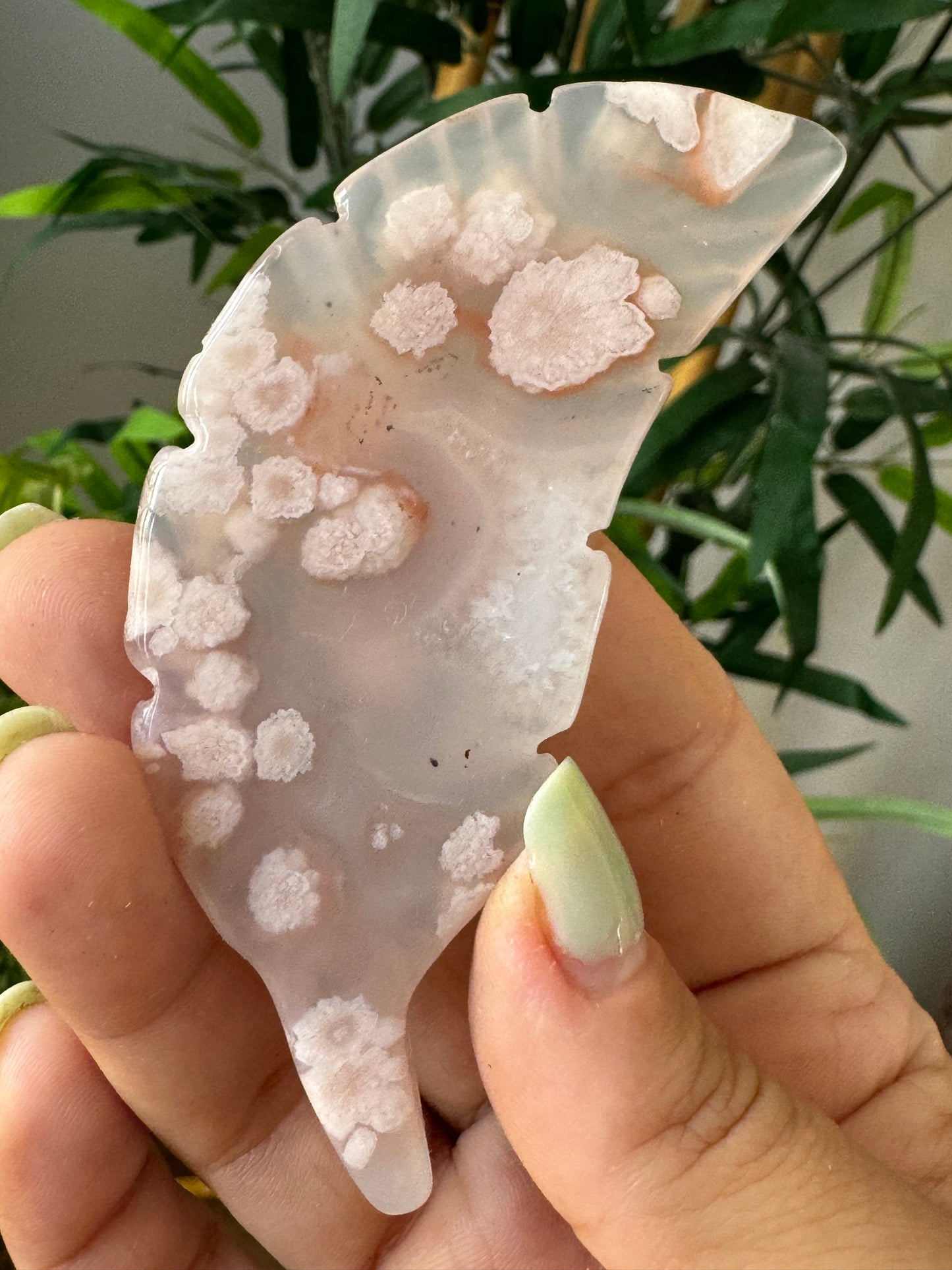 Flower Agate Feather |  37g