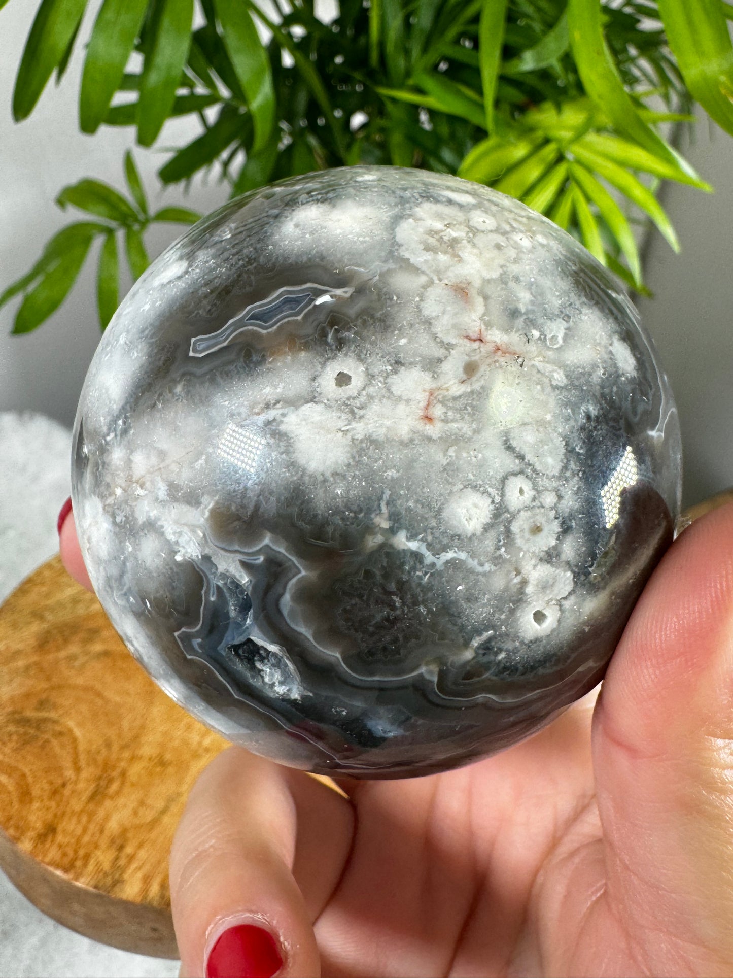 Black Agate Sphere | 440g